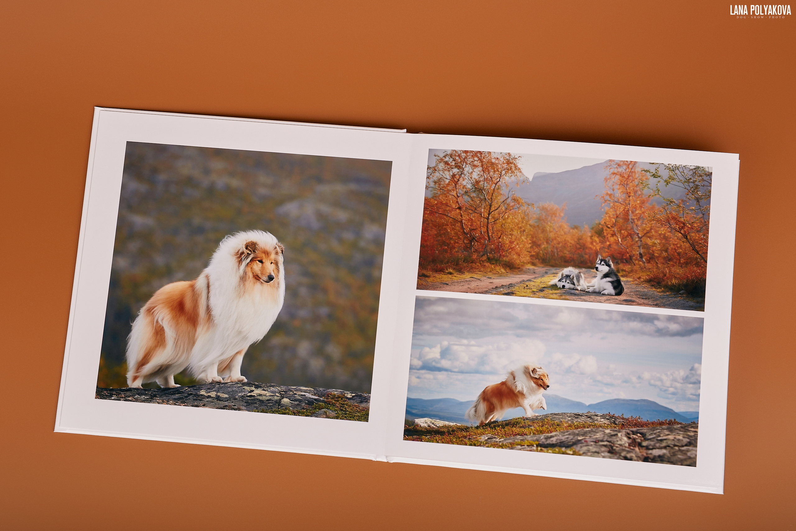 Альбом 20х20 см. Глянцевая бумага. Твердая обложка.