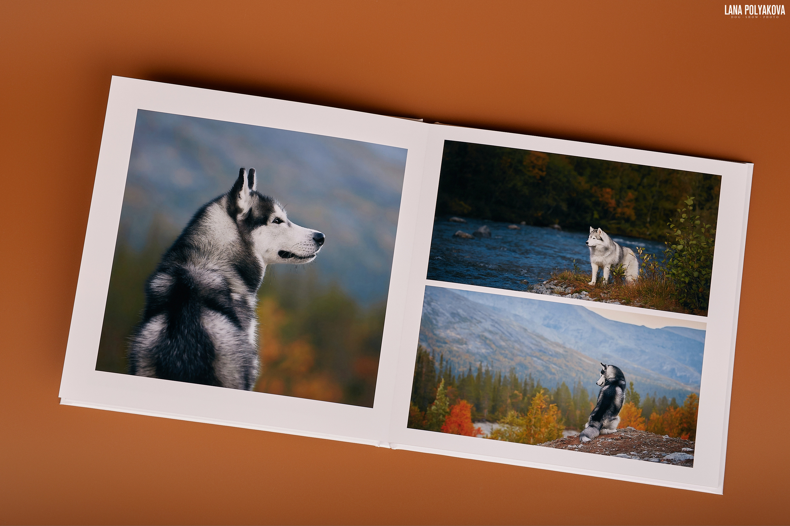 Альбом 20х20 см. Глянцевая бумага. Твердая обложка.