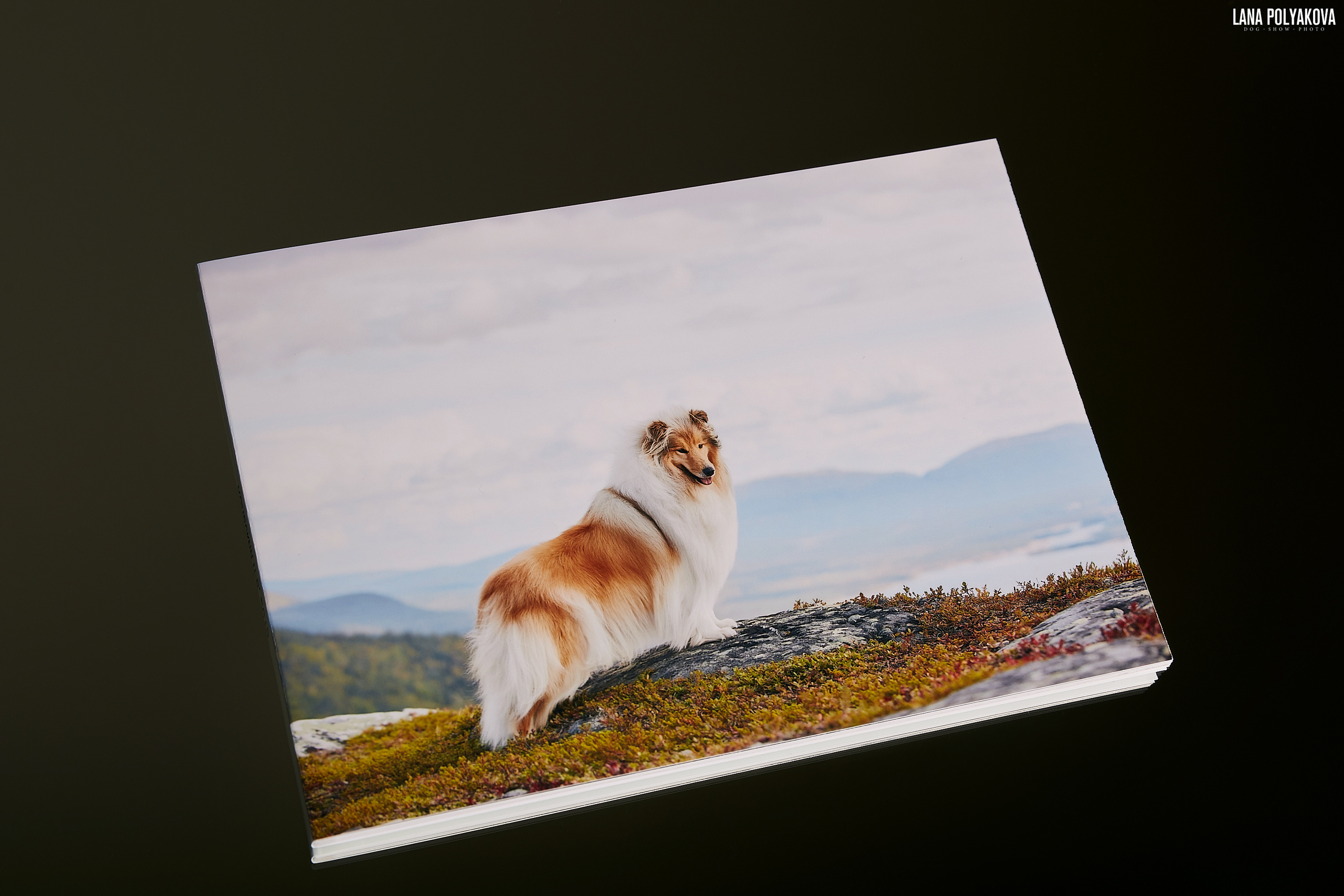 Минибук 18х13. Матовая бумага. Мягкая обложка.