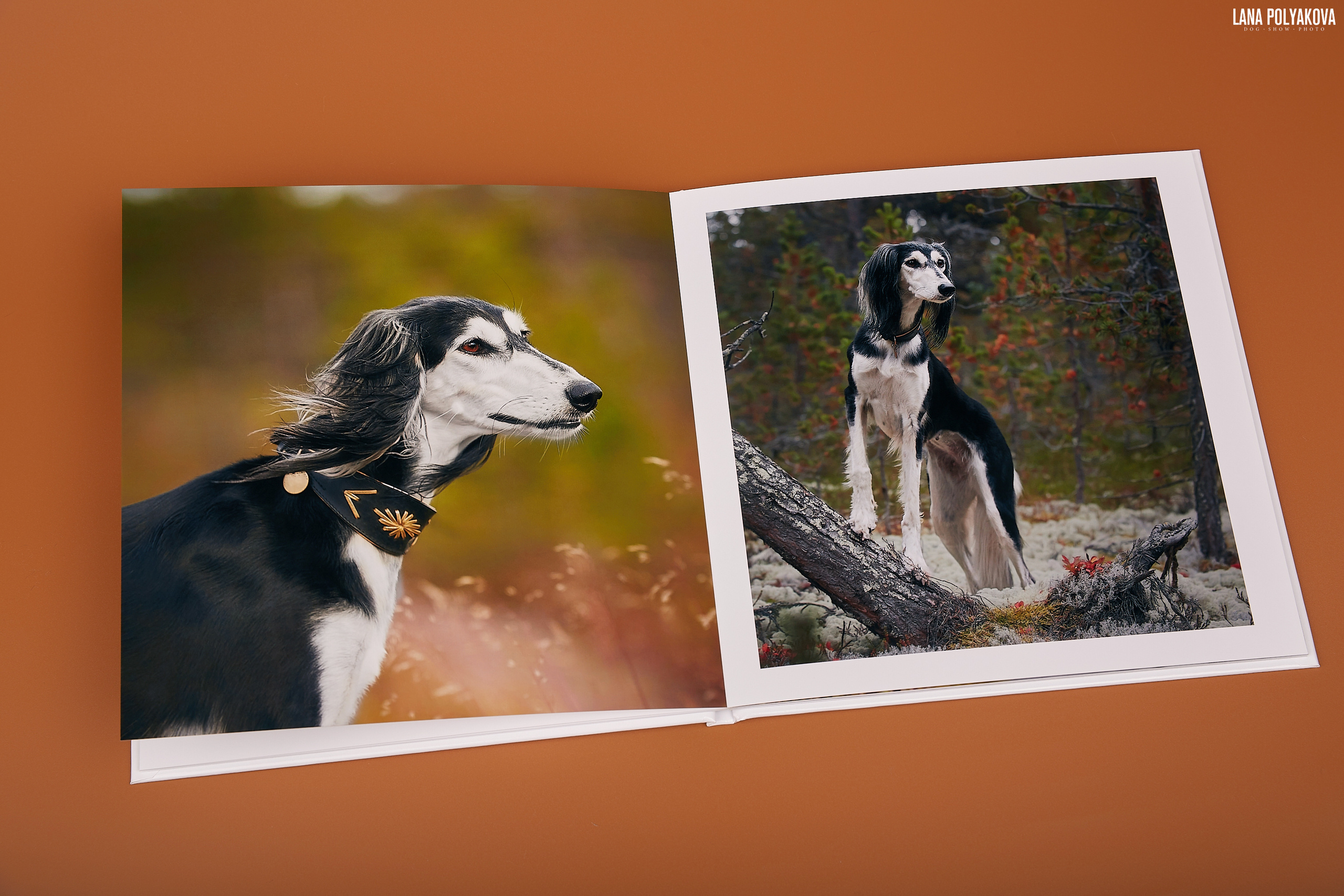 Альбом 20х20 см. Глянцевая бумага. Твердая обложка.