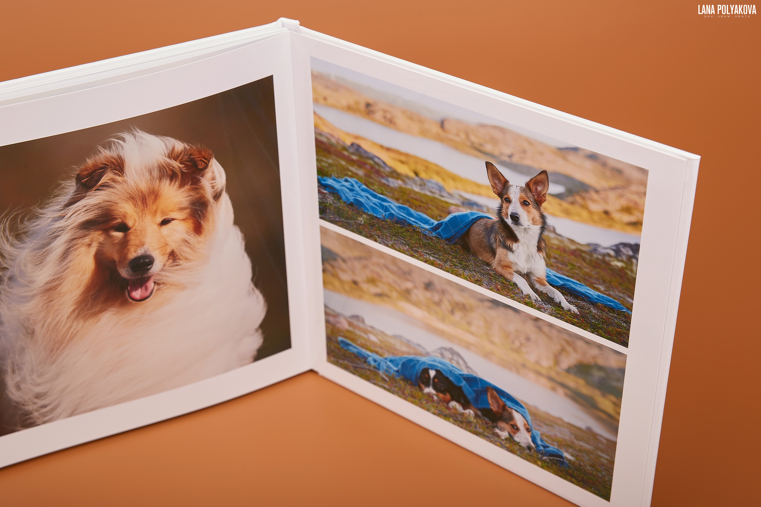 Альбом 20х20 см. Глянцевая бумага. Твердая обложка.