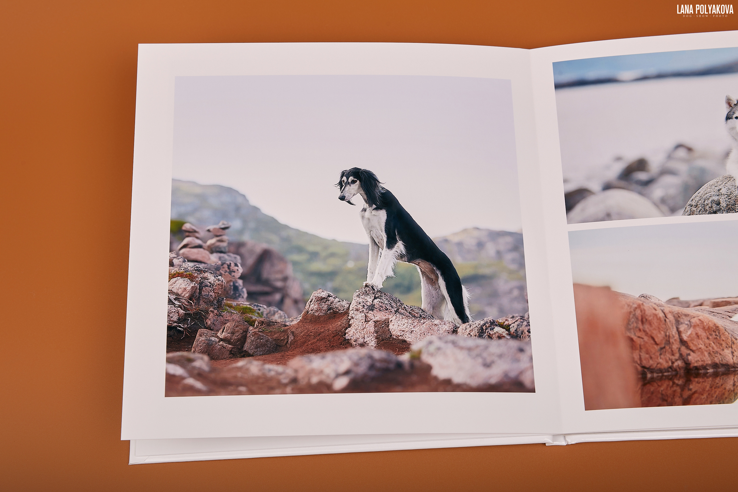 Альбом 20х20 см. Глянцевая бумага. Твердая обложка.