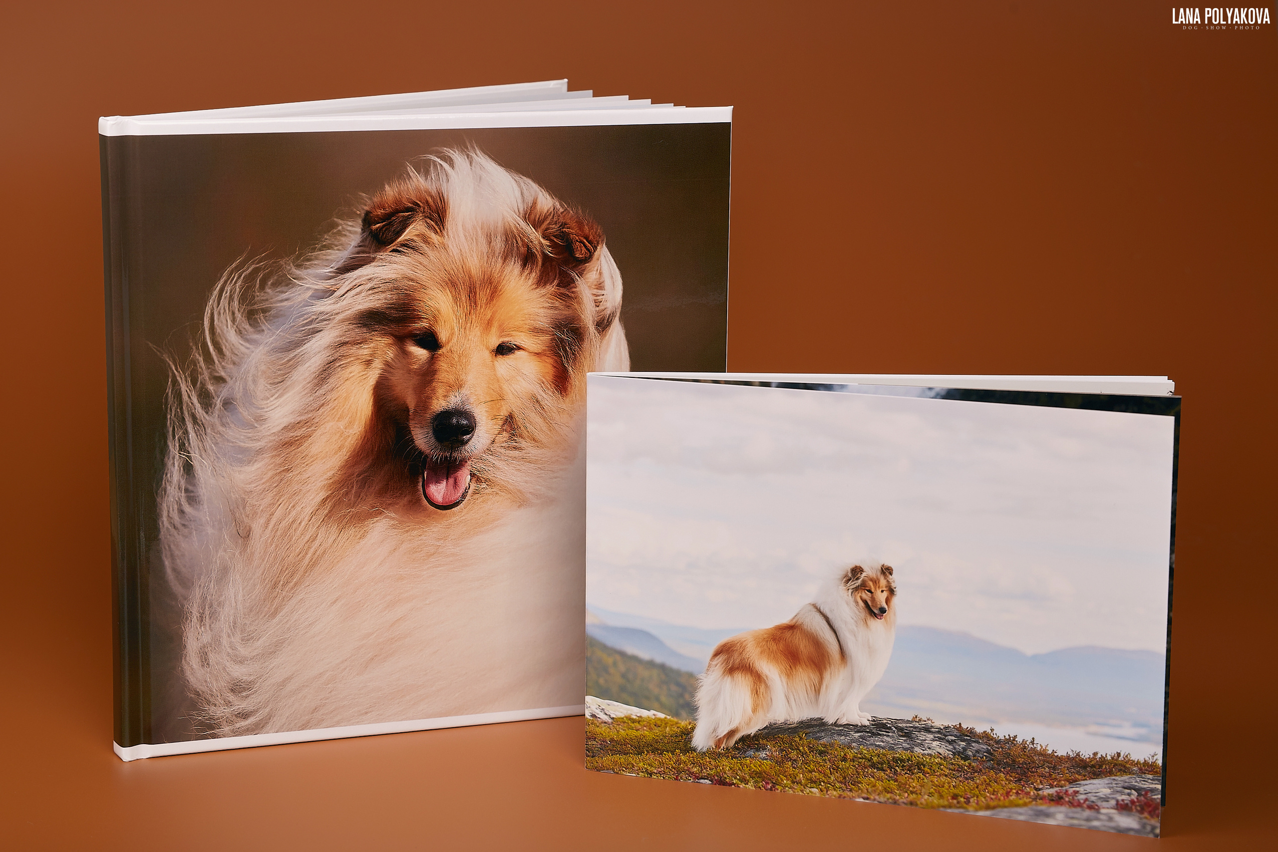 Альбом 20х20 см. Глянцевая бумага. Твердая обложка. Минибук 18х13. Матовая бумага. Мягкая обложка.