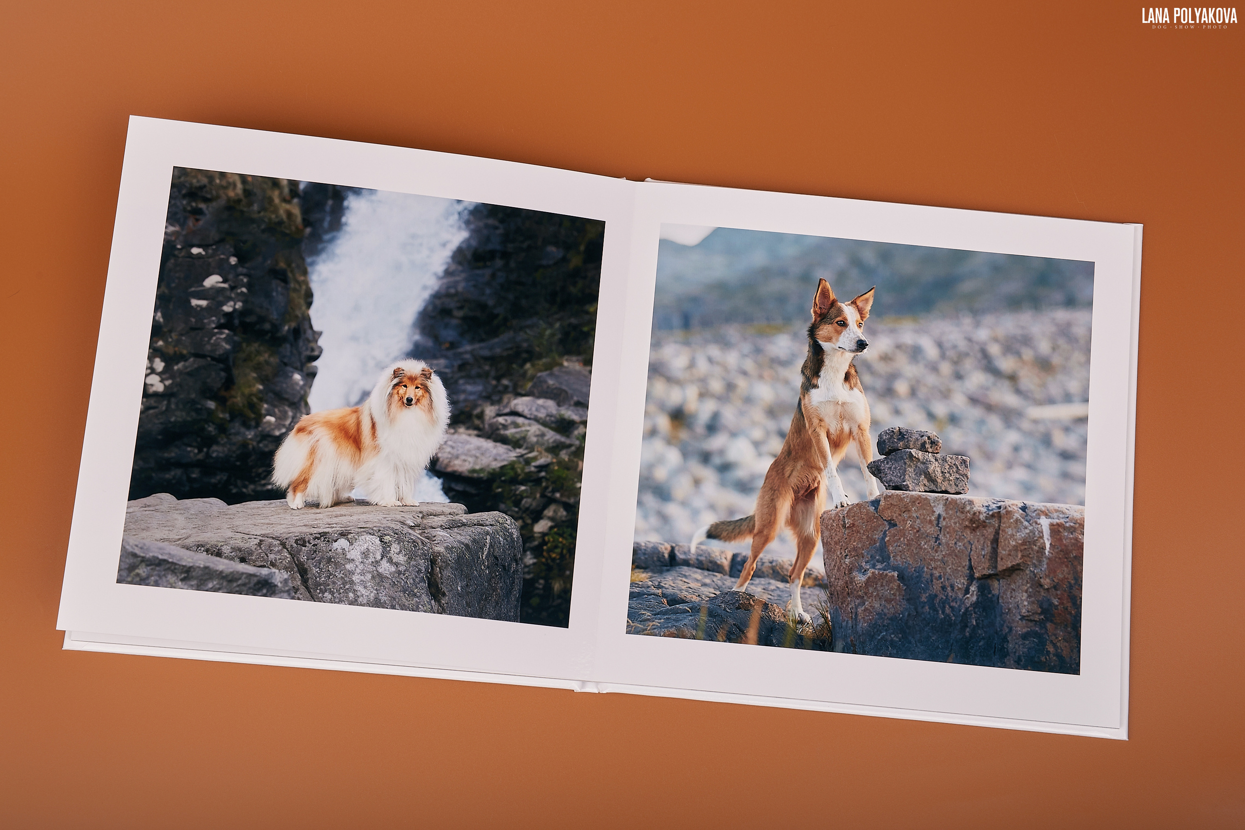 Альбом 20х20 см. Глянцевая бумага. Твердая обложка.