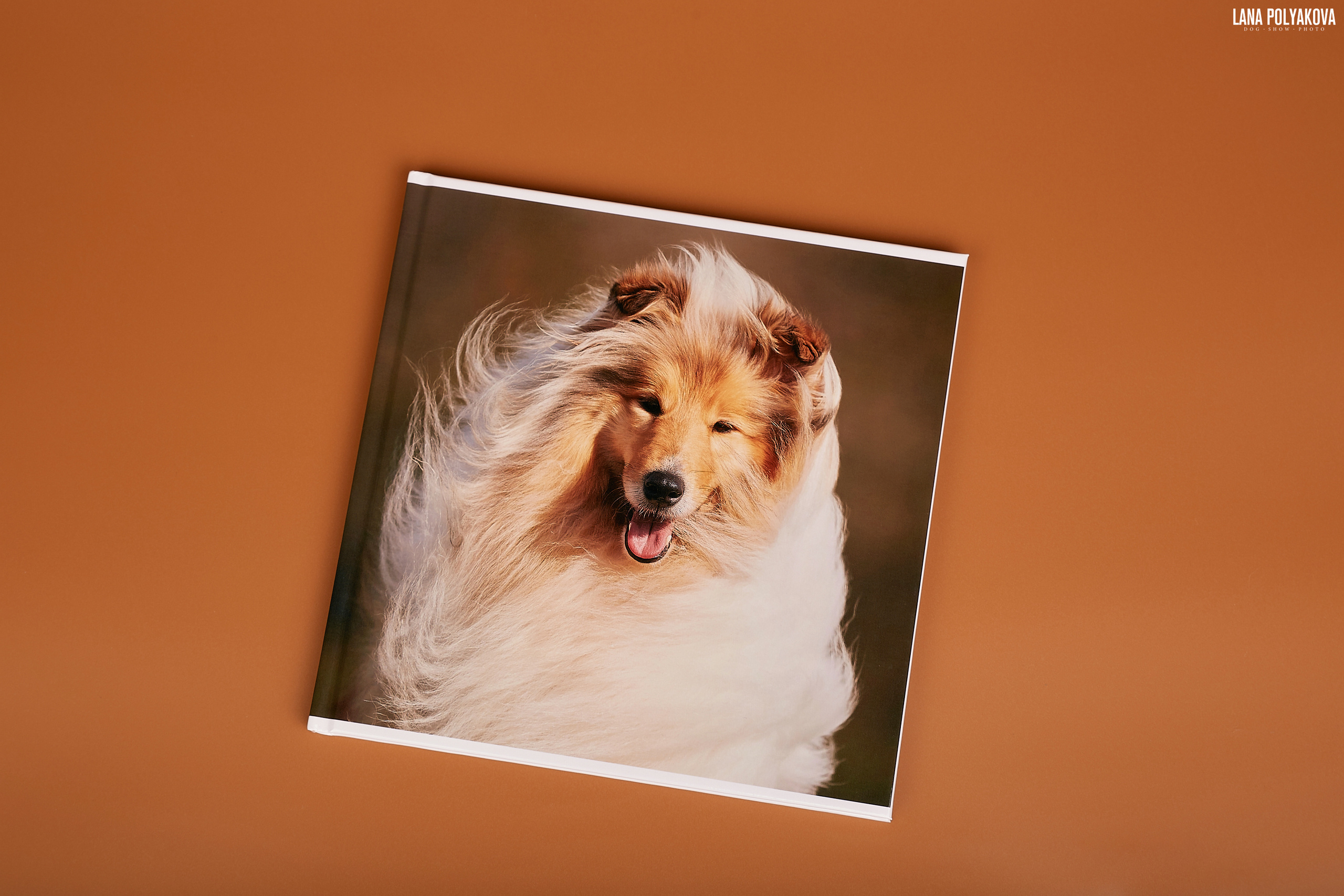 Альбом Альбом 20х20 см. Глянцевая бумага. Твердая обложка.20х20 см. Глянцевая бумага. Твердая обложка.