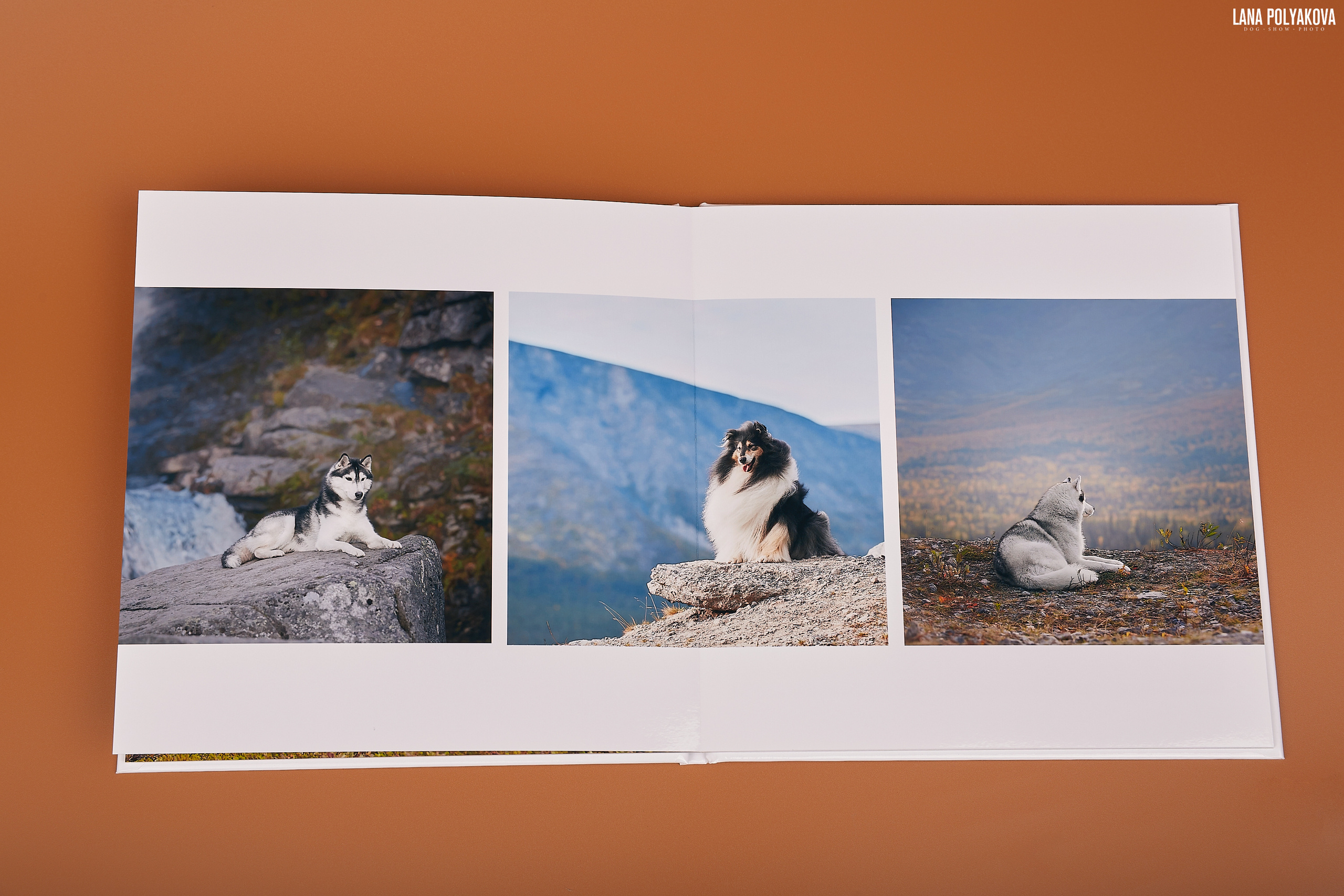 Альбом 20х20 см. Глянцевая бумага. Твердая обложка.