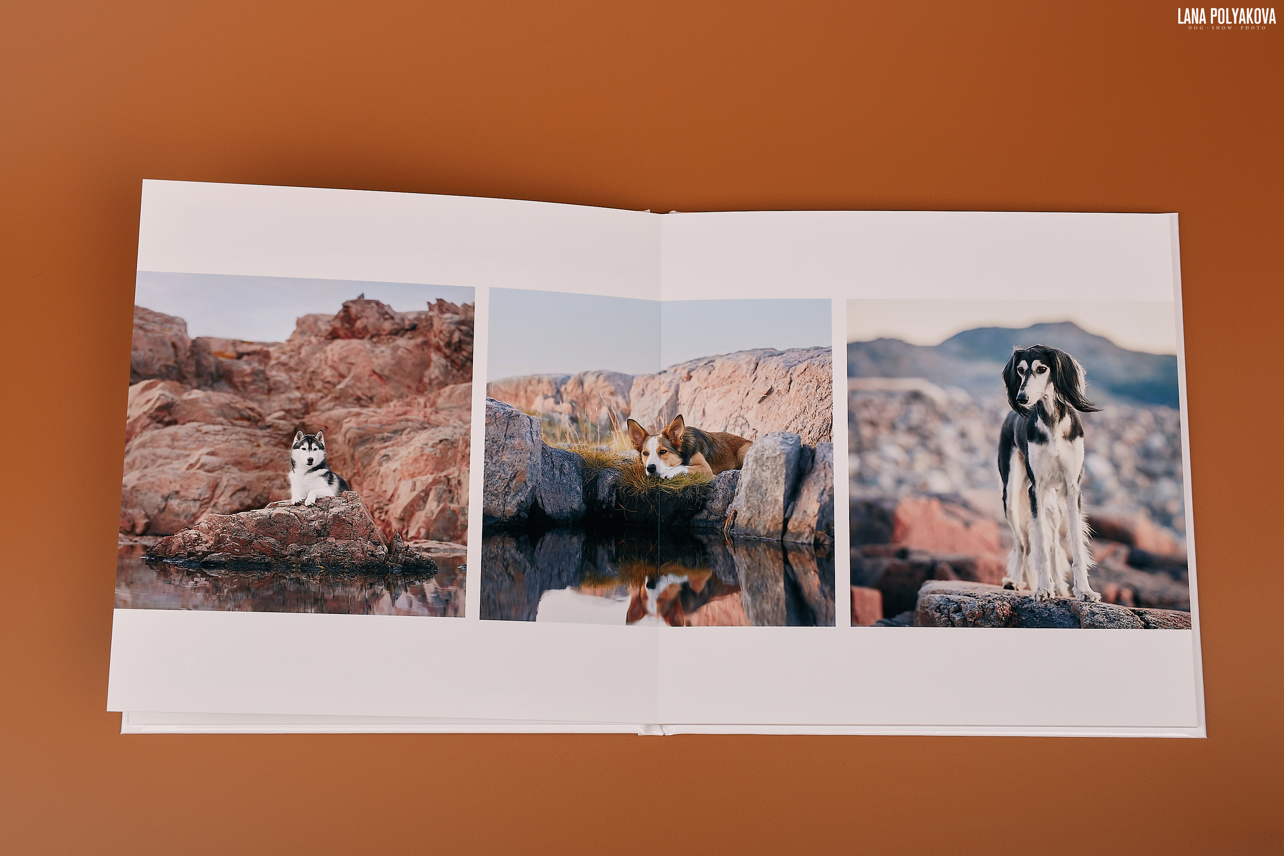 Альбом 20х20 см. Глянцевая бумага. Твердая обложка.