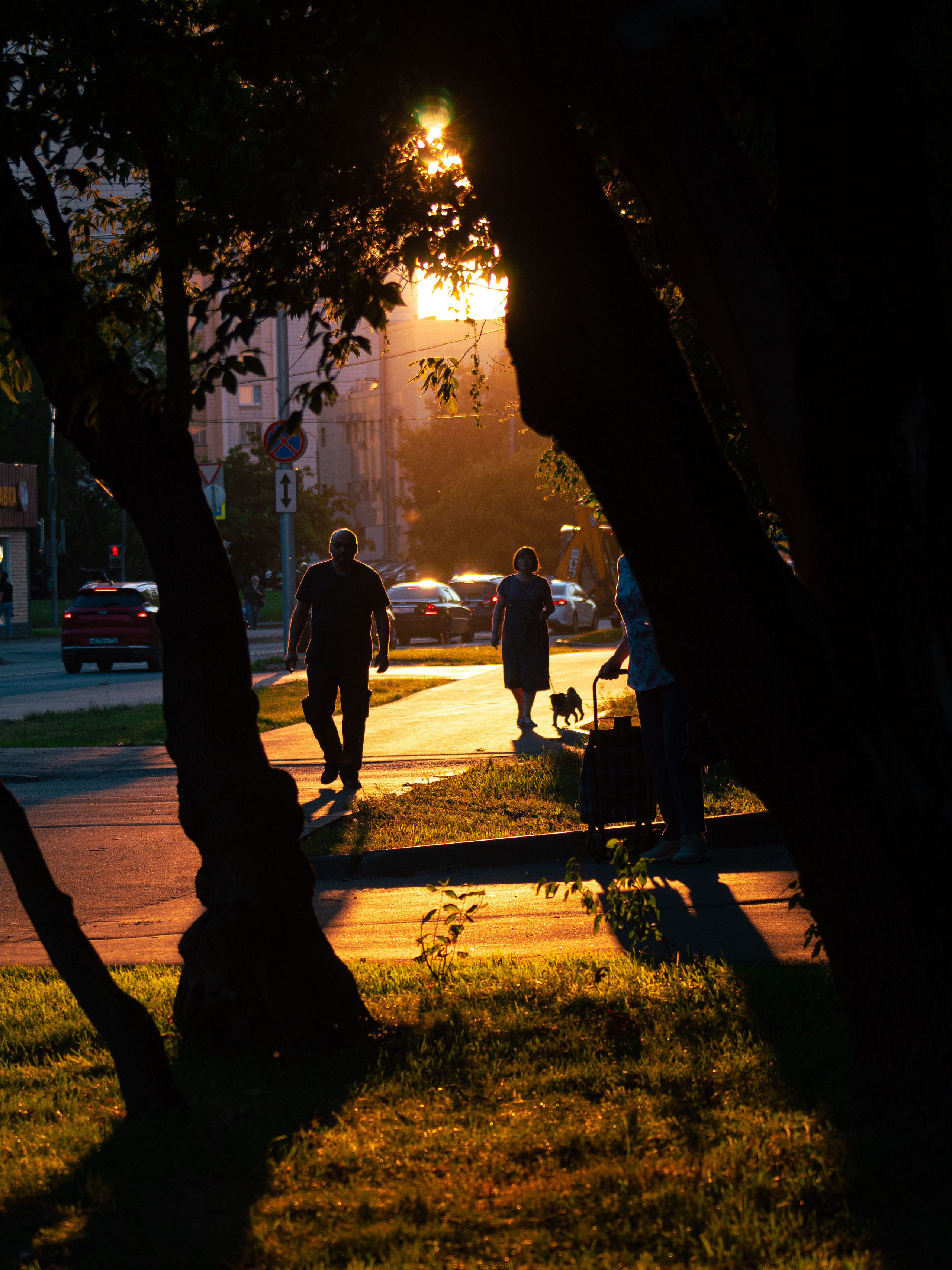 Лето 2024. Dmitriy [KCCC] is a pretty cool photographer