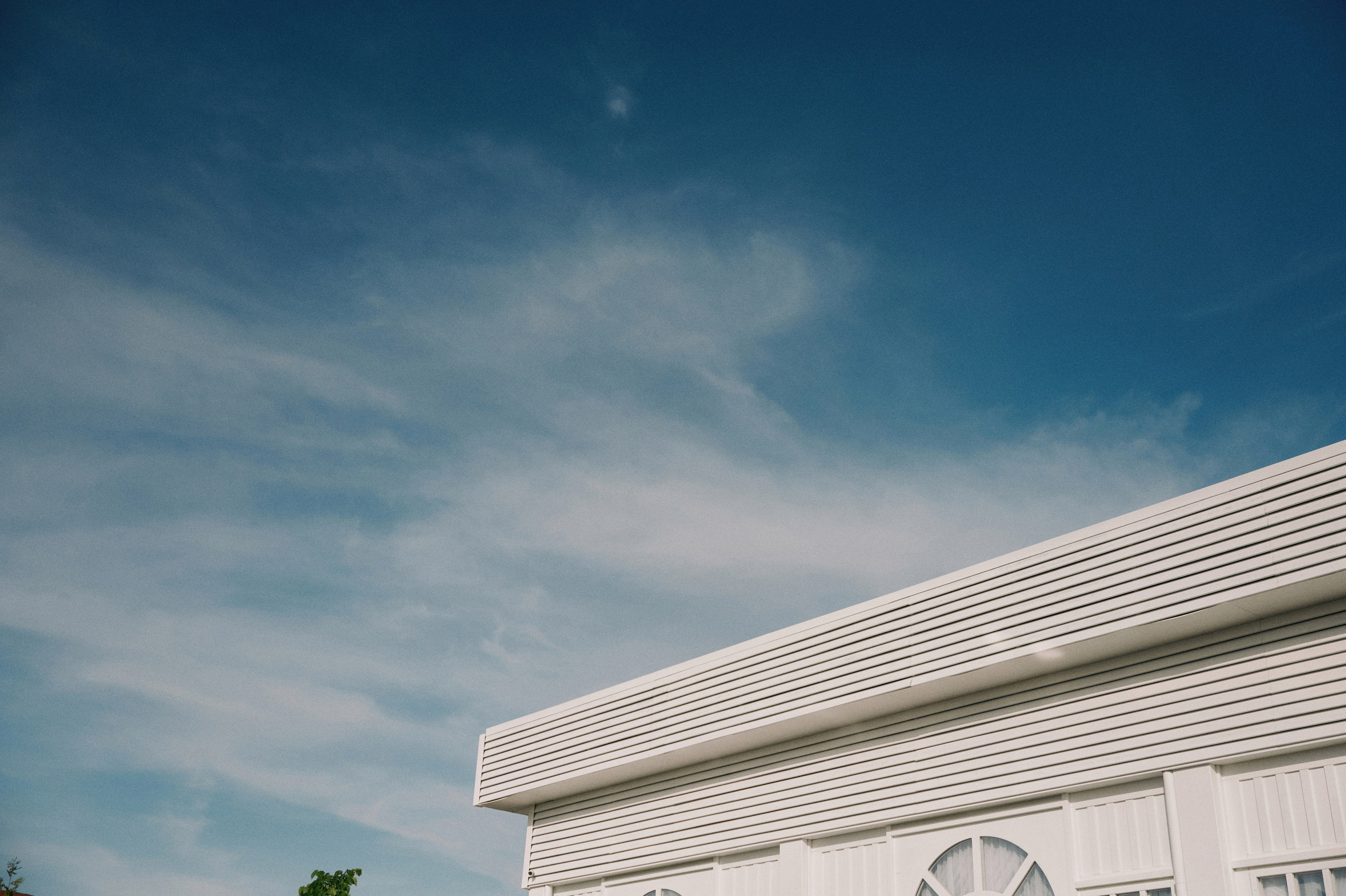 Люби меня люби. Свадебный фотограф в Ростовe-на-Дону Анастасия Прутова