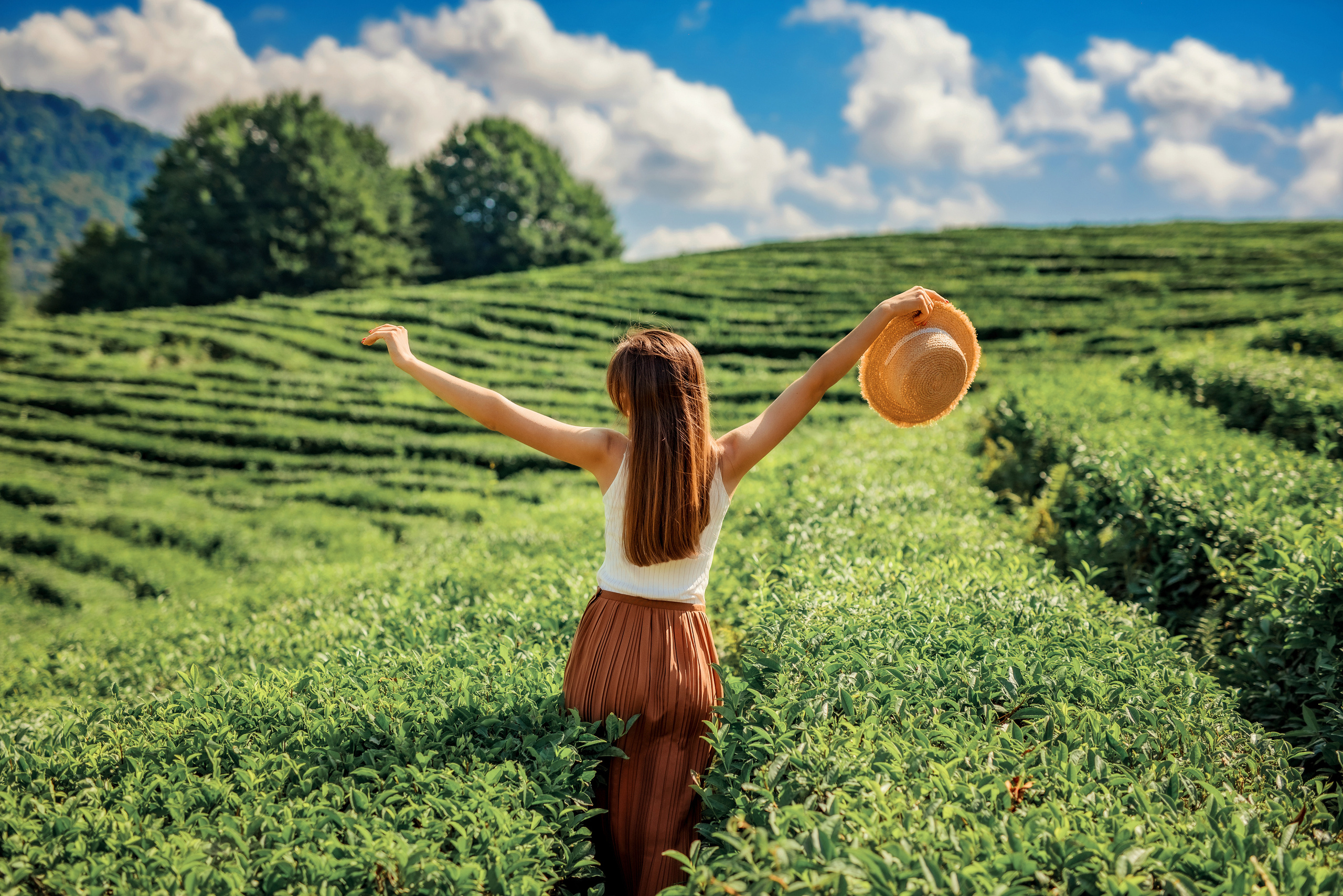 Чаепитие в Мацесте. Фотограф в Сочи, Адлере, Сириусе и на Красной поляне Кушабаева Алёна