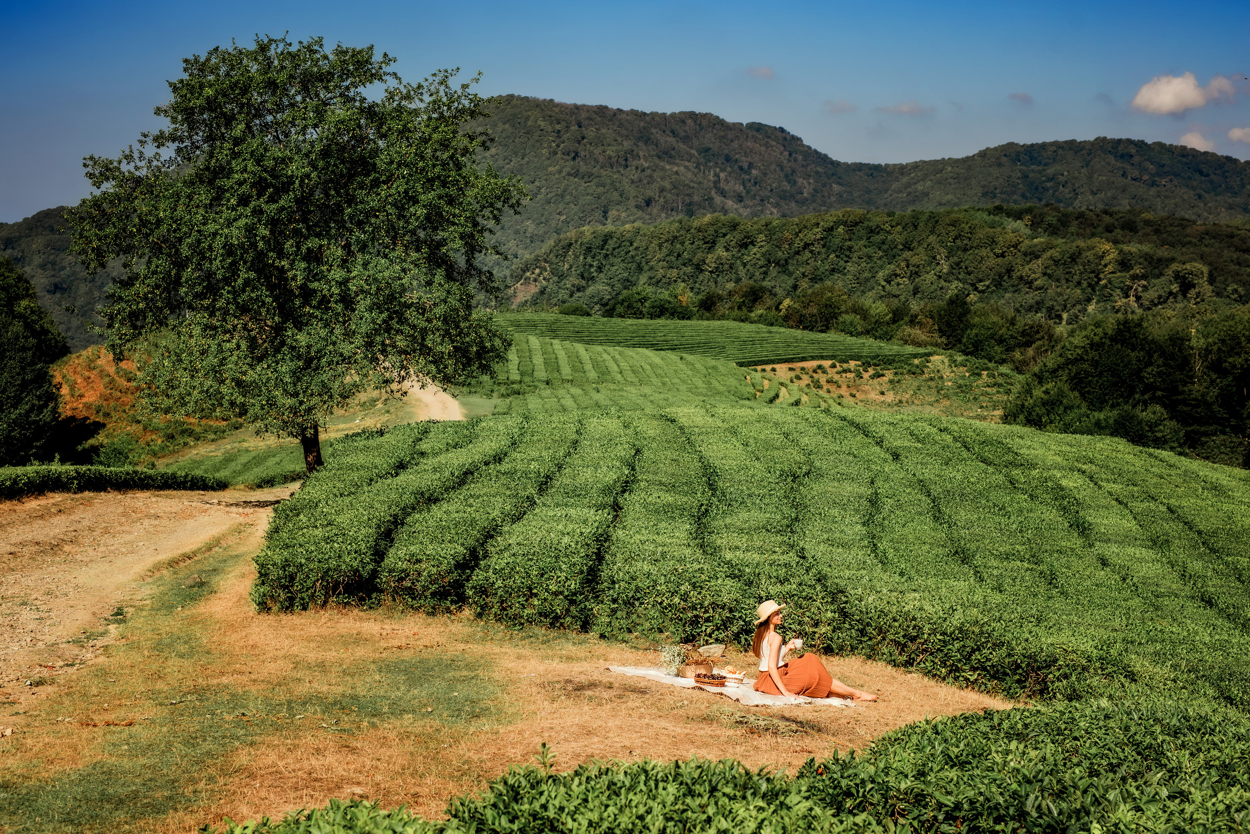 Чаепитие в Мацесте. Фотограф в Сочи, Адлере, Сириусе и на Красной поляне Кушабаева Алёна