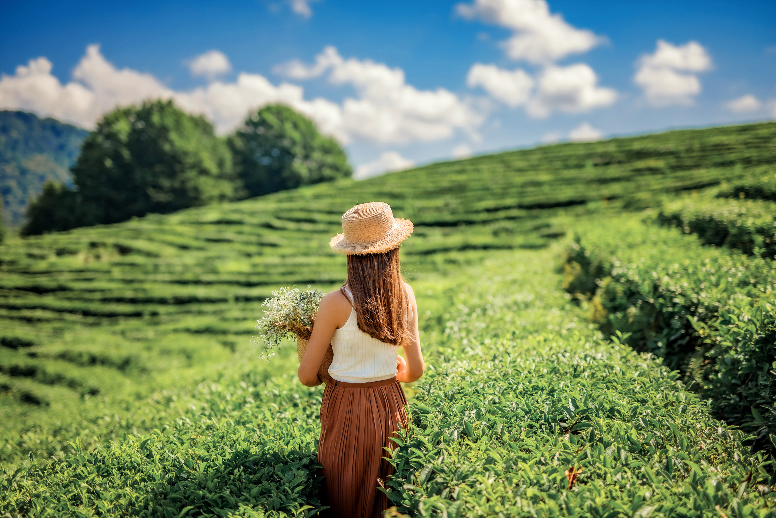 Чаепитие в Мацесте. Фотограф в Сочи, Адлере, Сириусе и на Красной поляне Кушабаева Алёна