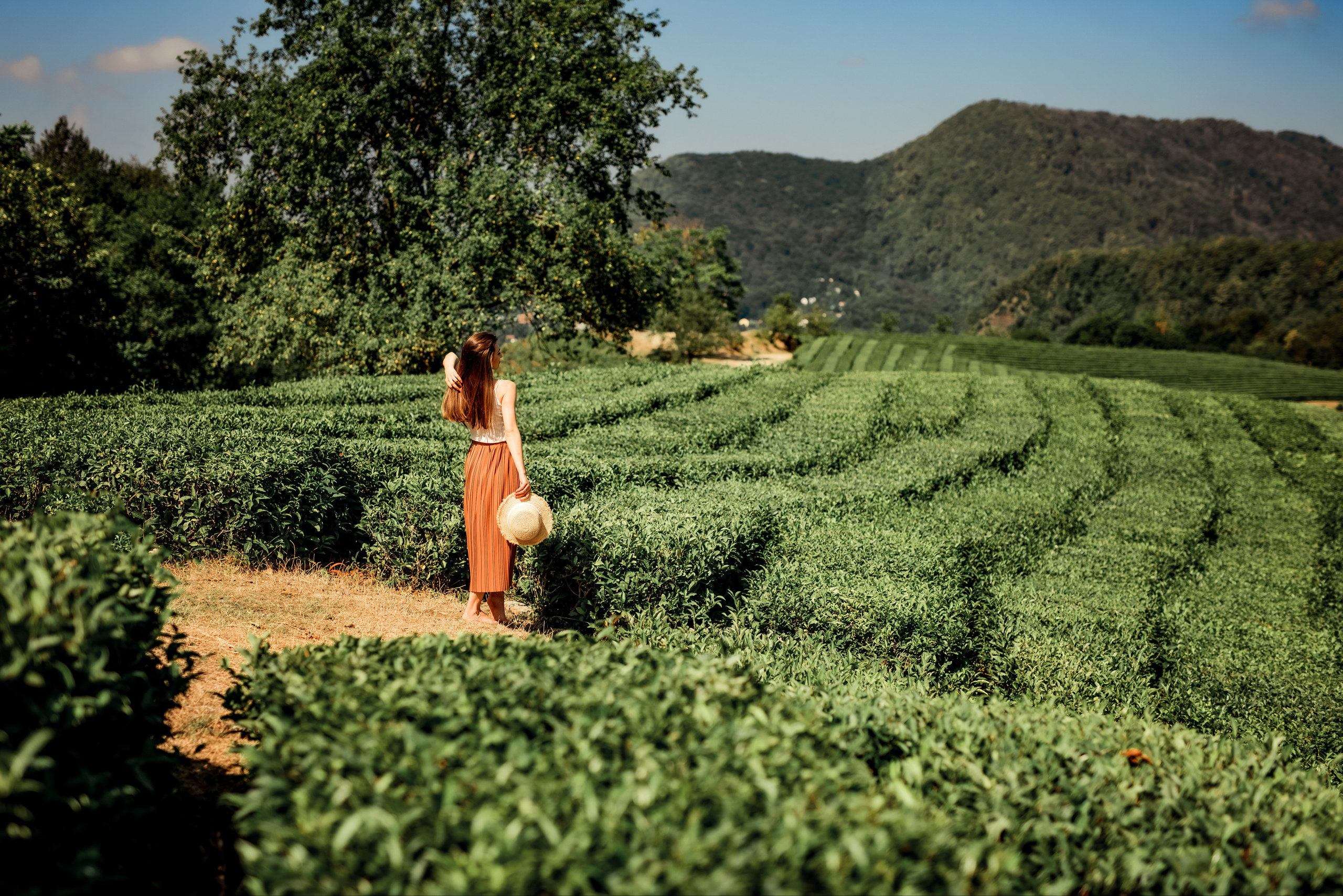 Чаепитие в Мацесте. Фотограф в Сочи, Адлере, Сириусе и на Красной поляне Кушабаева Алёна