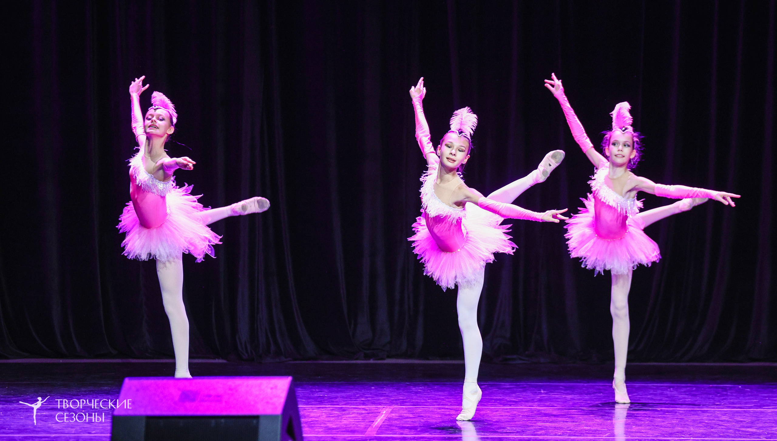 29.11.2025 IV Всероссийский конкурс «Всероссийская Танцевальная Олимпиада» г. Казань. Медиастудия Фото Концепт