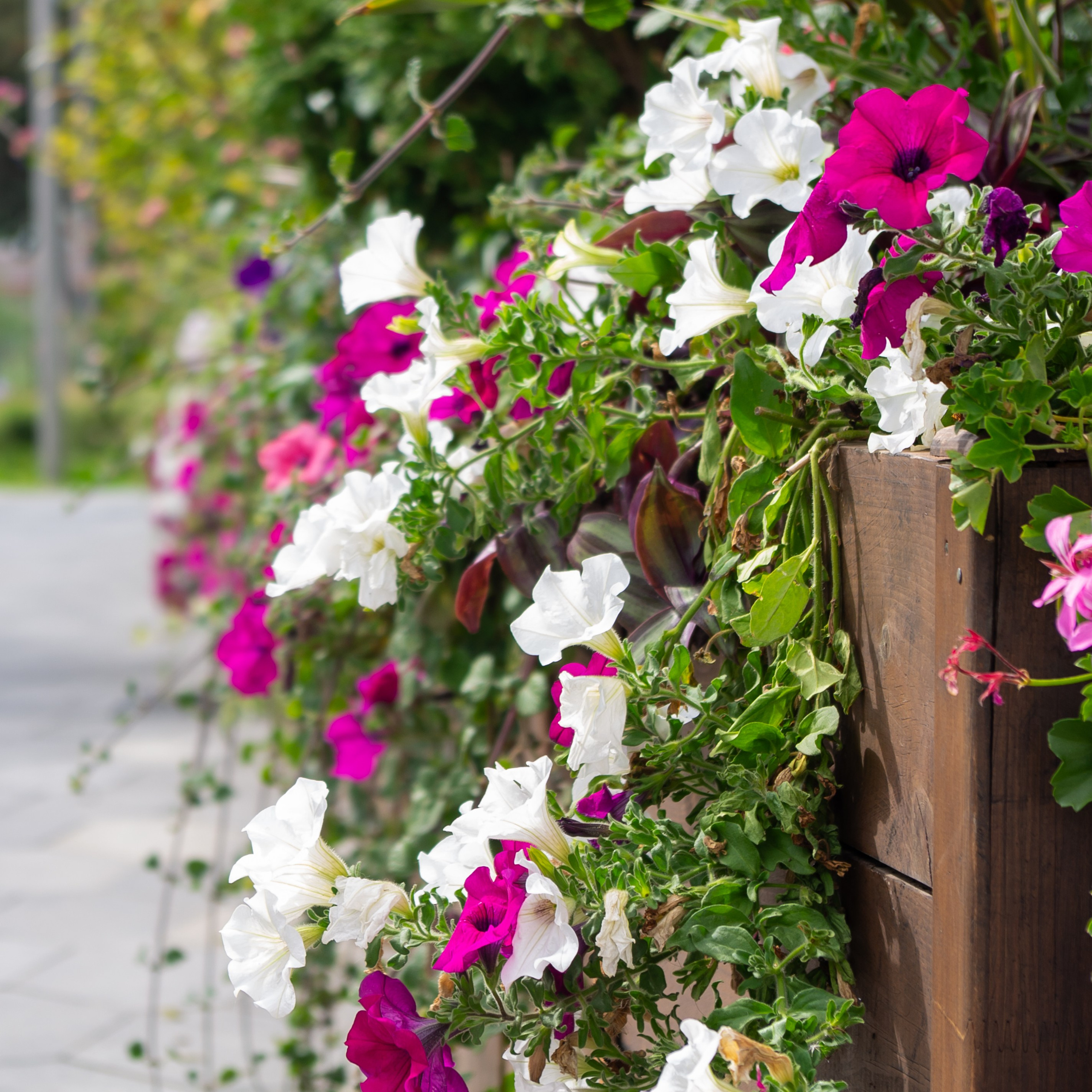 20200824 Вокруг Кремля с братом. Дмитрий Ремизов. Фотография, как хобби