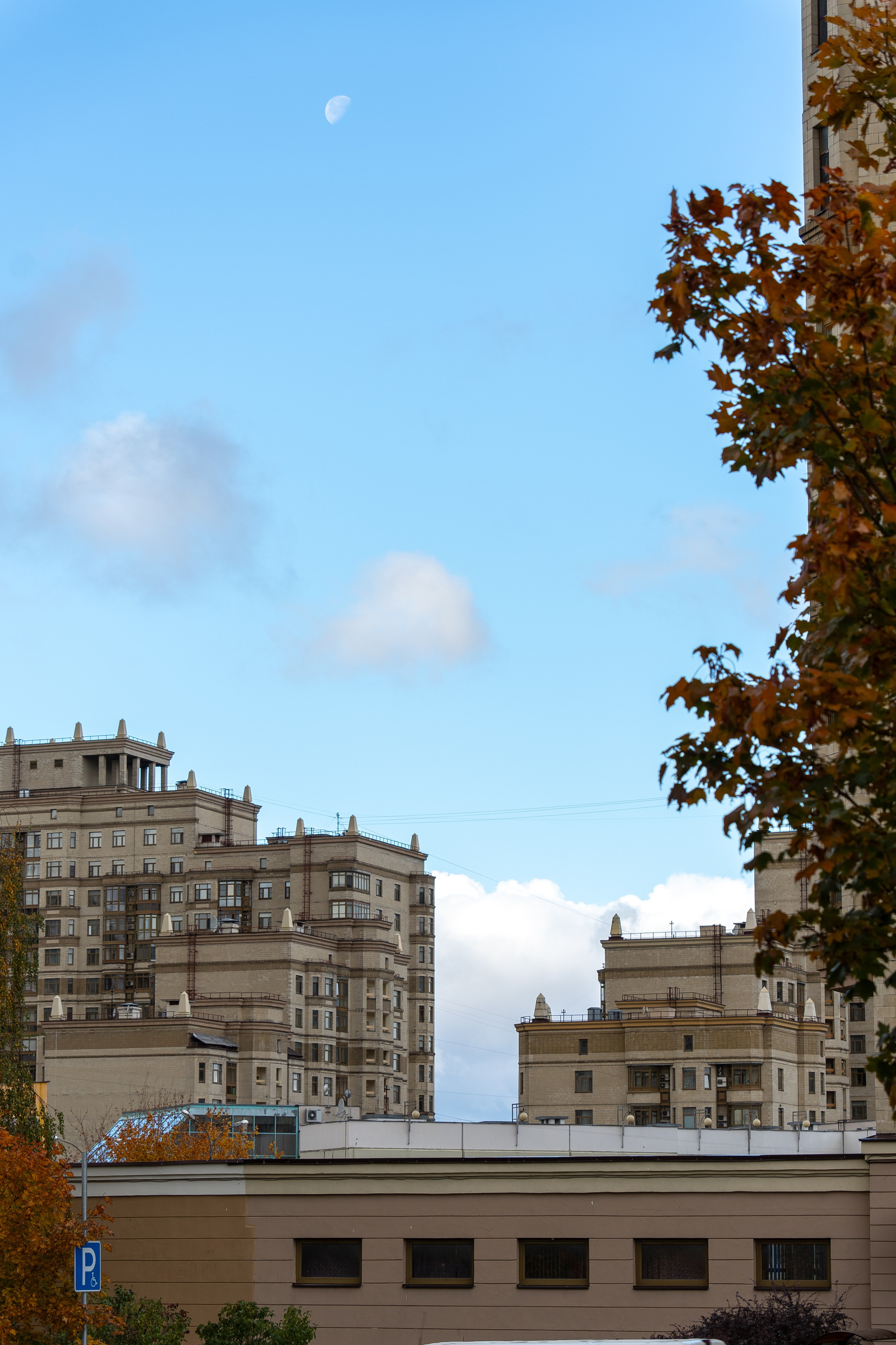 20251012 МГУ. Дмитрий Ремизов. Фотография, как хобби