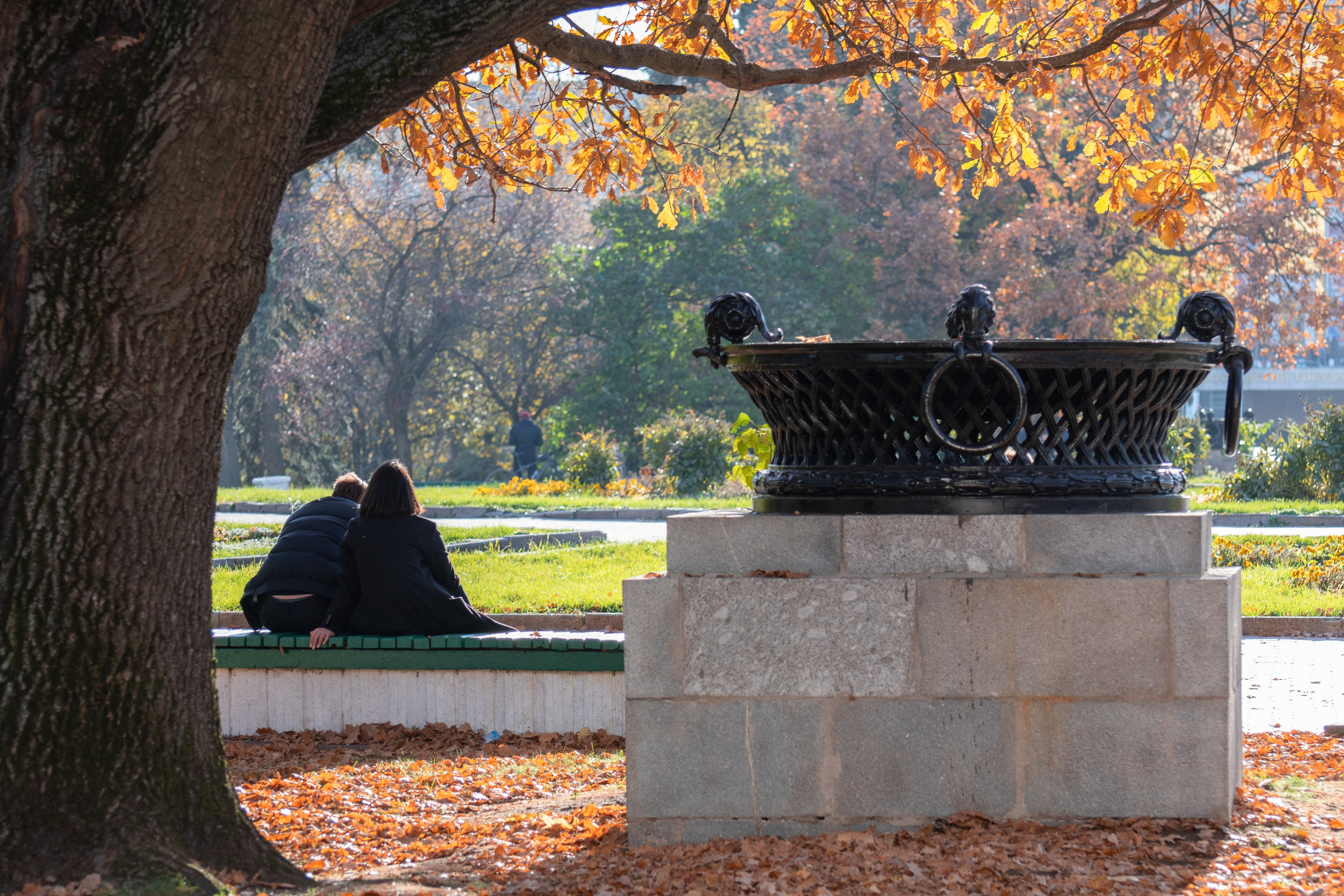 20211010 МГУ. Дмитрий Ремизов. Фотография, как хобби