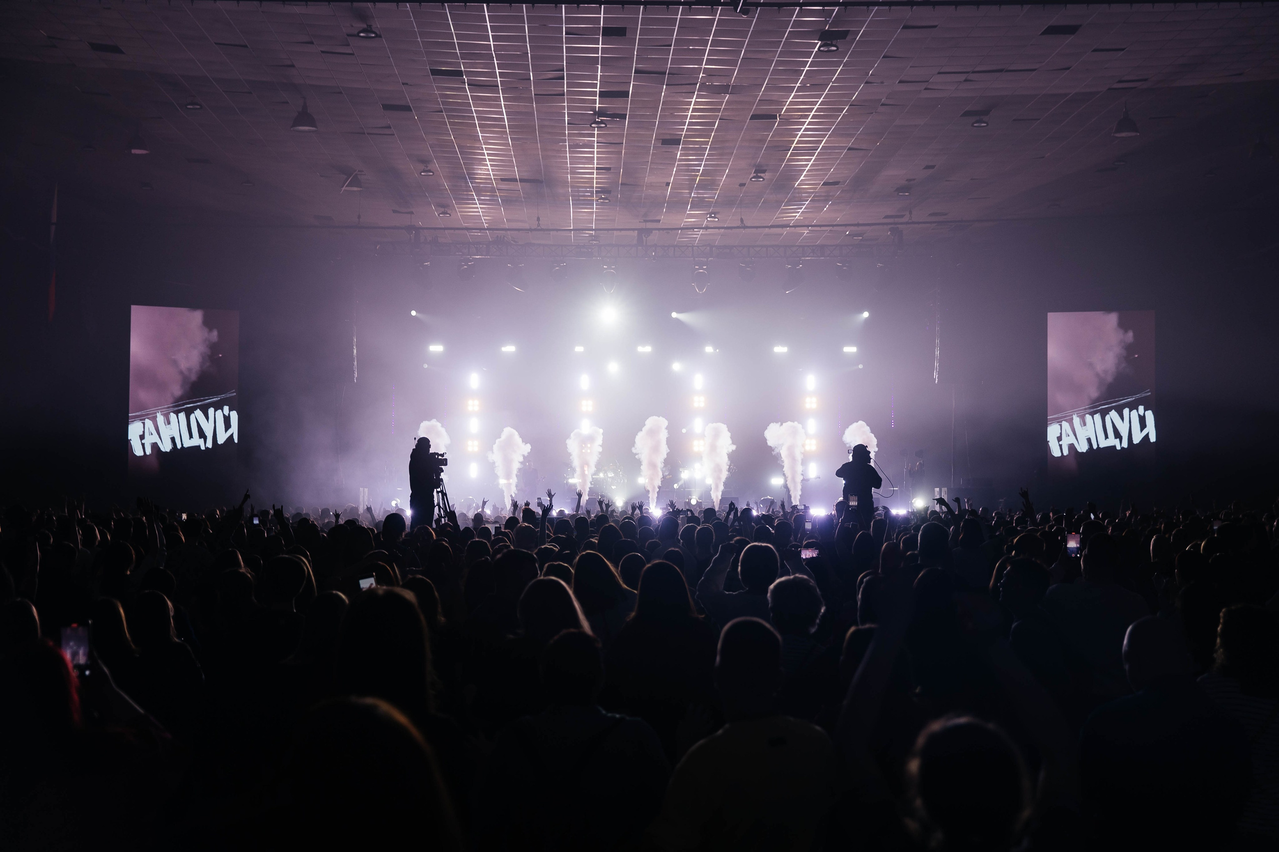 Звери. _Carpe diem_