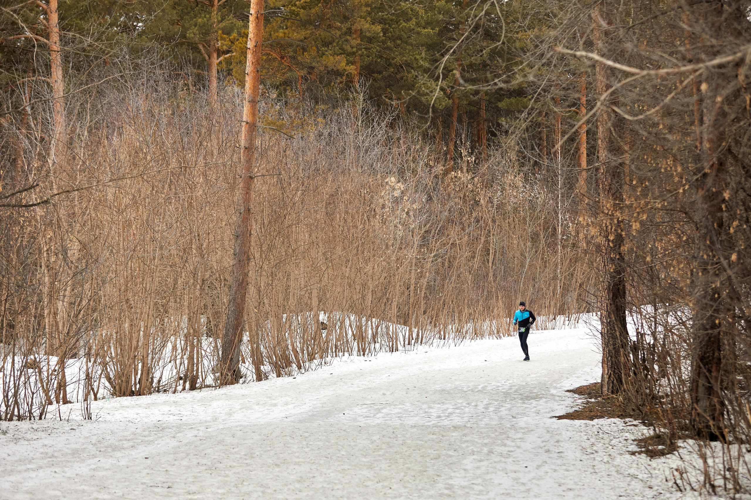 Спорт. AFL Media