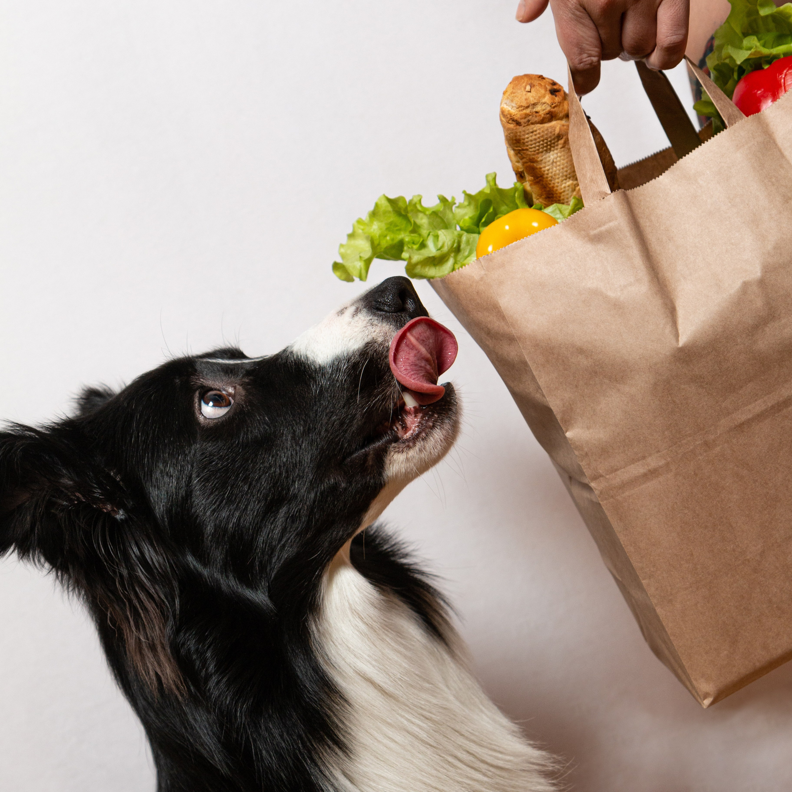 Фотосъёмка для маркетплейсов. Предметный и репортажный фотограф Алексей Кротов