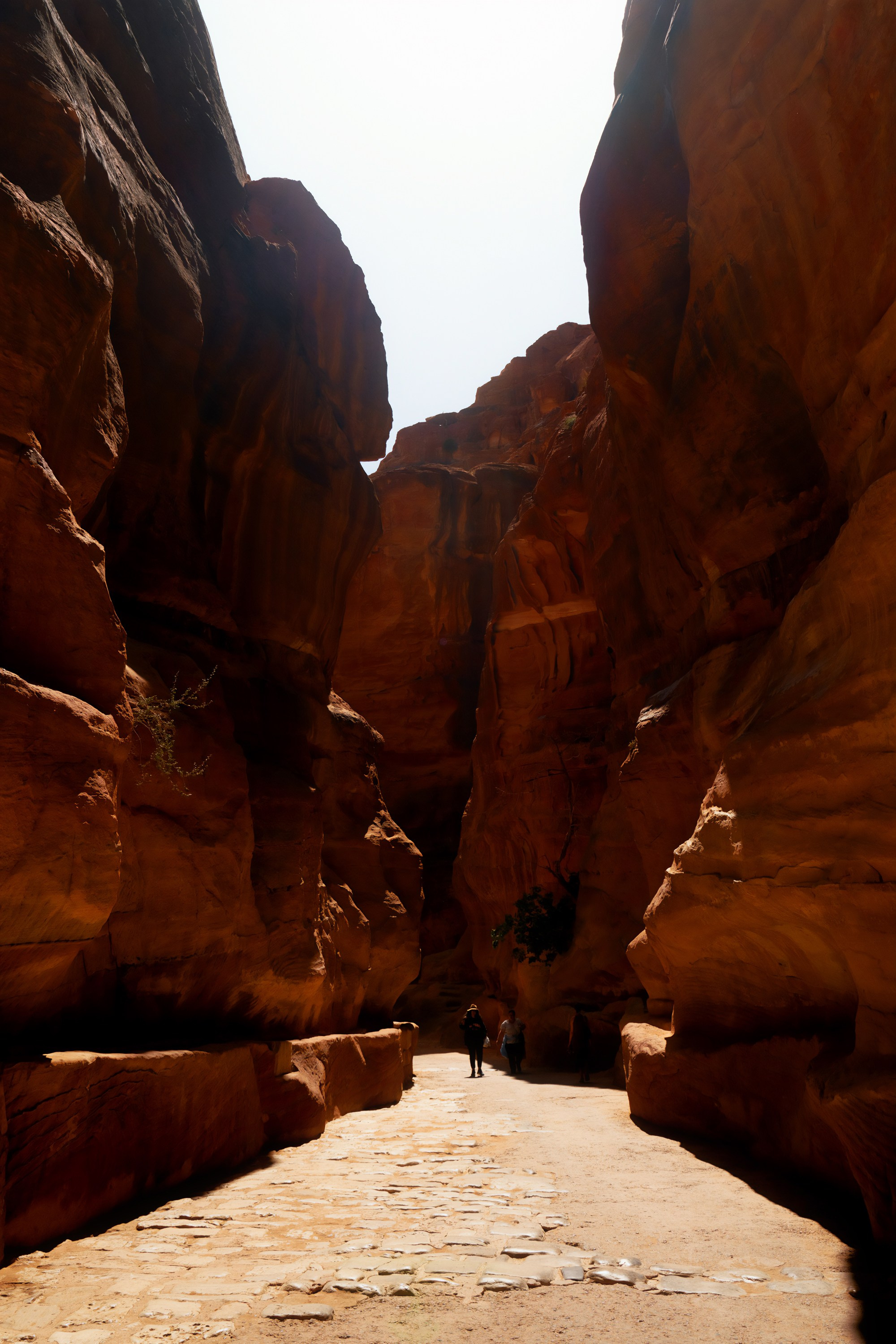 Турция, Греция, Иордания. Фотограф в Хабаровске. Фотография за 24 часа