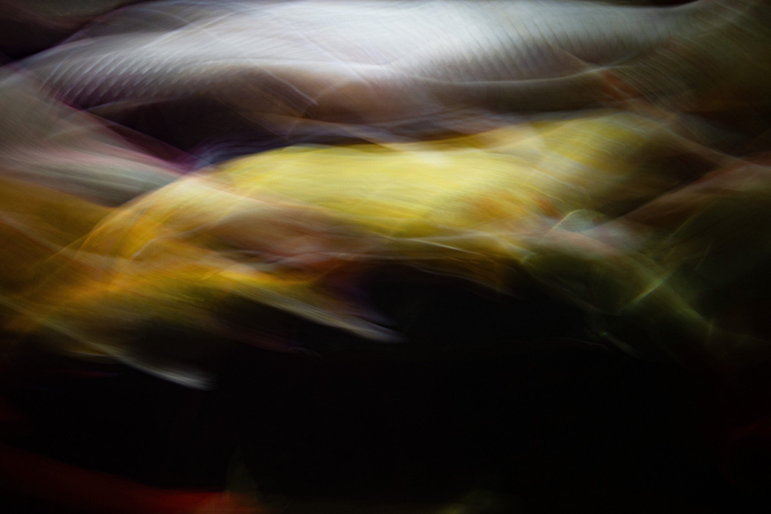 Рыбопись 2024. Яна Каменская