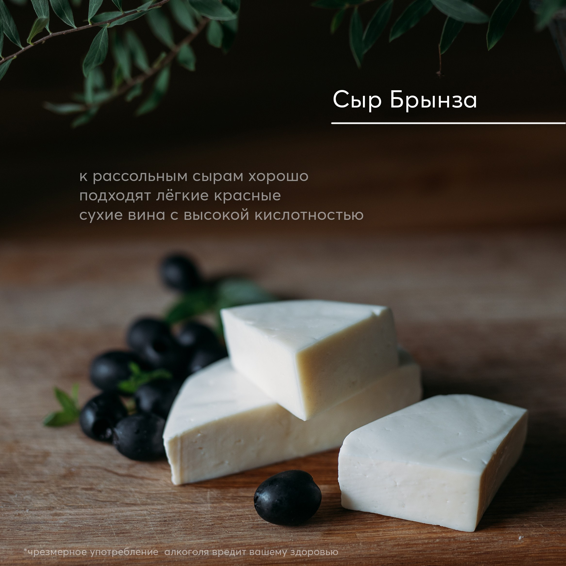 СЫР. Фотограф Наташа Румянцева