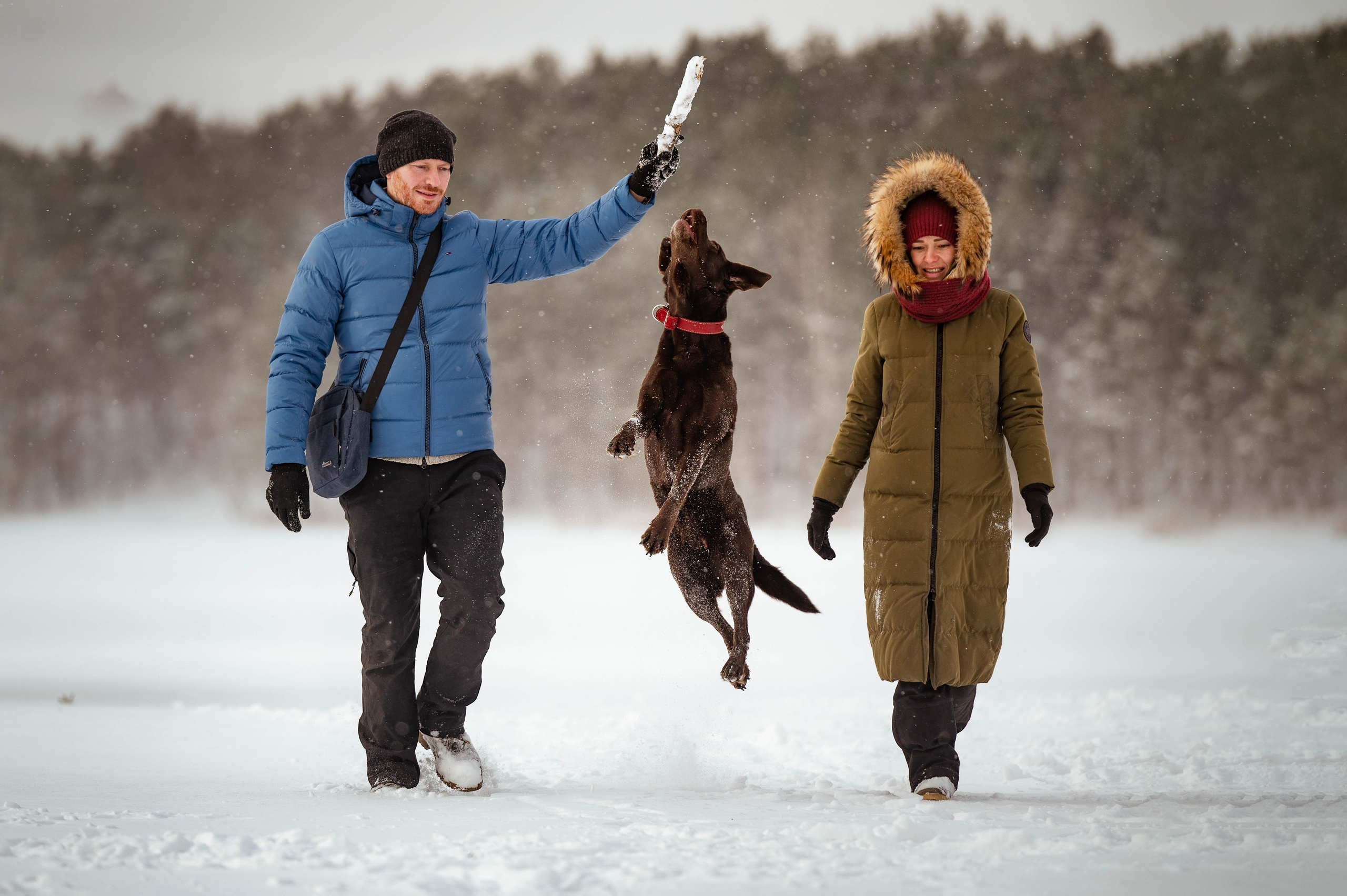 Прогулка на Лыткаринском карьере. Фотограф-анималист