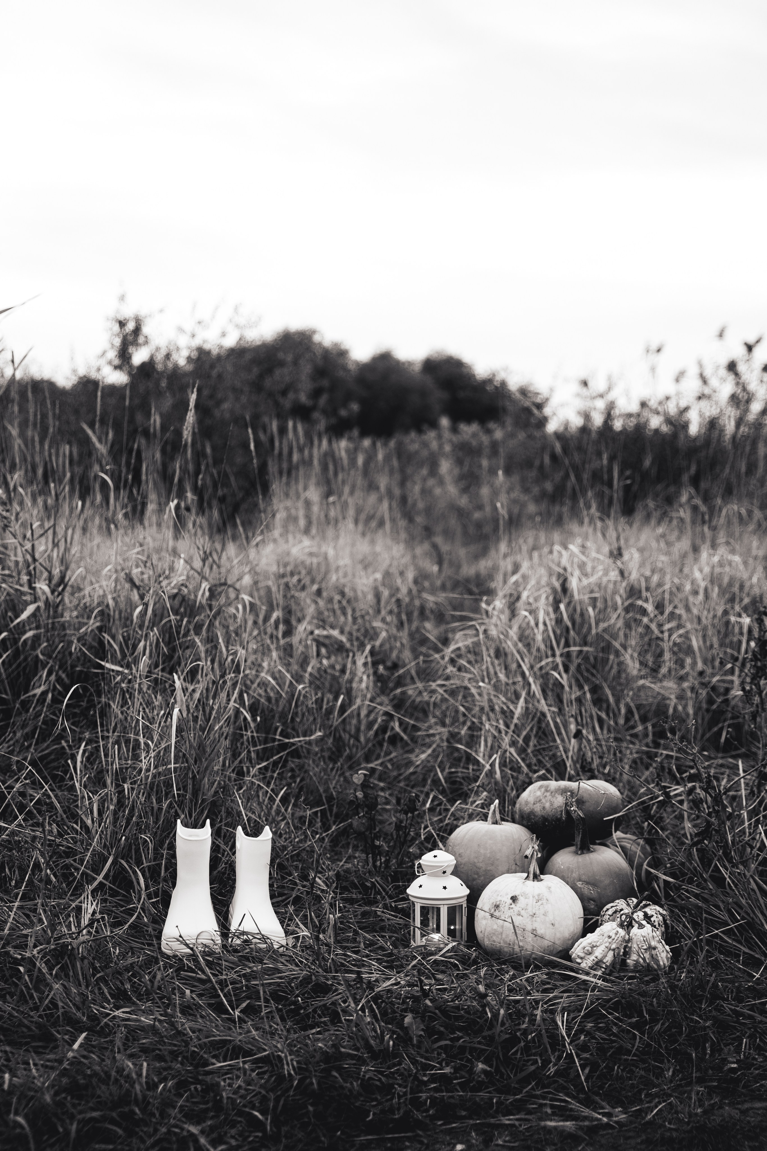 Halloween. Визуальный художник «Границы внутри»