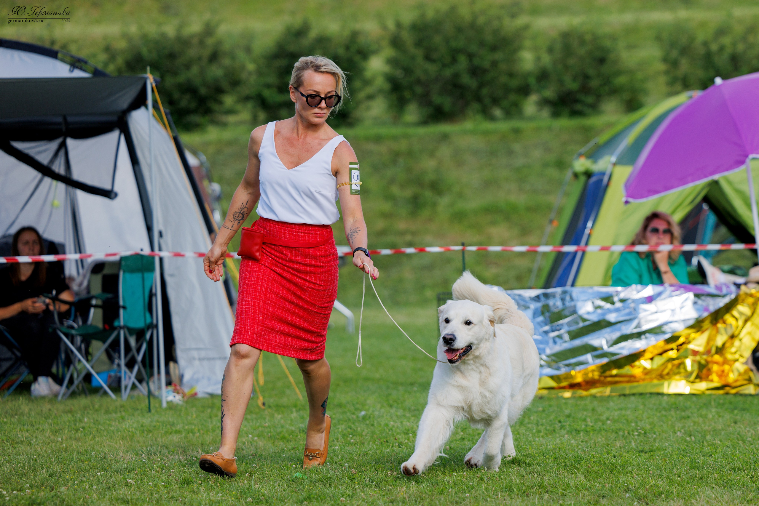 Голдены 15-16.06.2024. Фотограф-анималист Юлия Германика