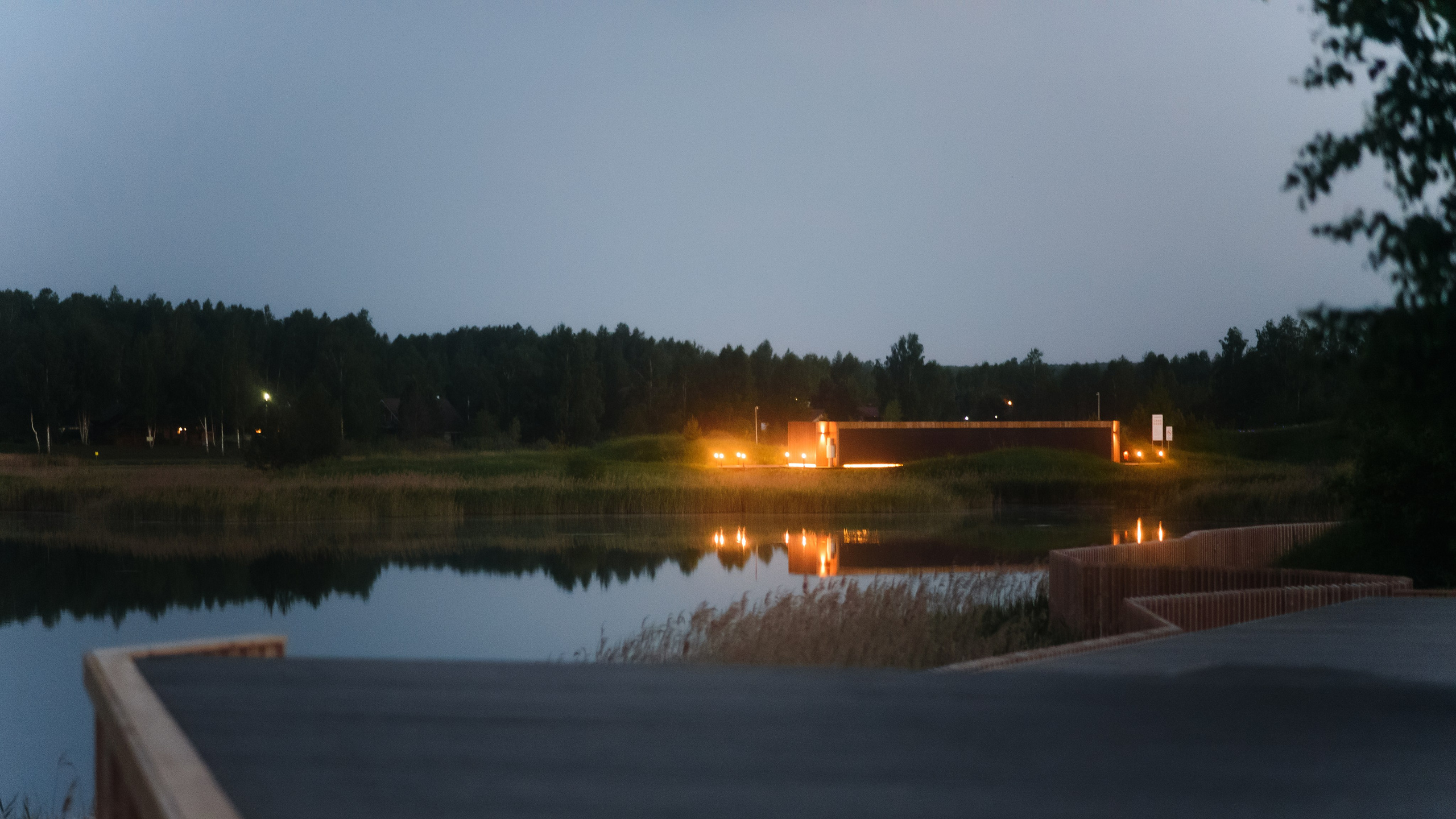 Максим, Надя, Шелби и Рой — 31.05.2025. Фотограф — Анималист | Анна Абрамова