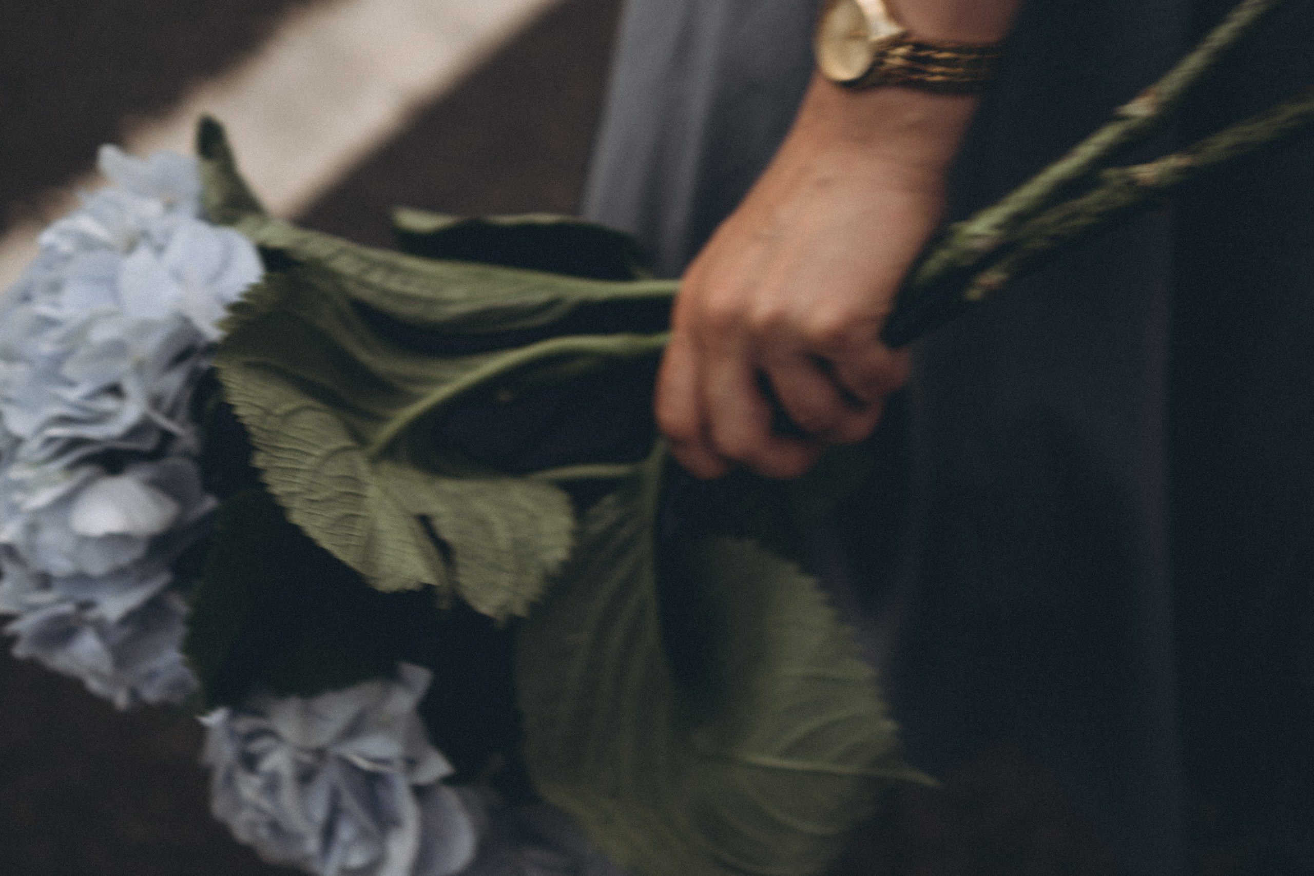 Июльский вечер. Профессиональный фотограф, Санкт-Петербург — Виктория Богомолова