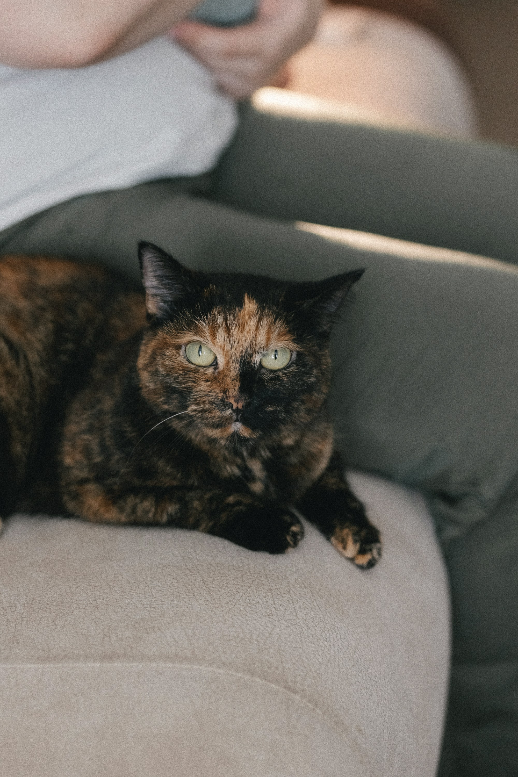 ЮЛЯ И МАКСИМ ` 24. Maria Startseva Photo