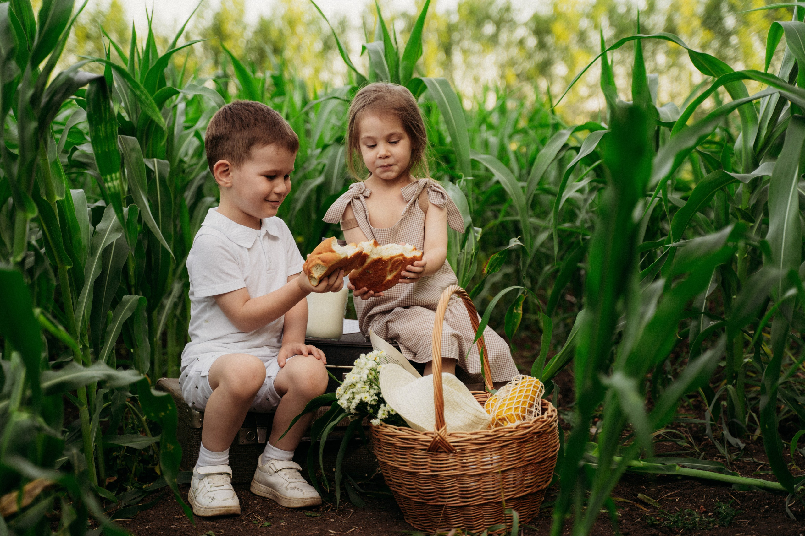 Фотосессия в Кукурузе