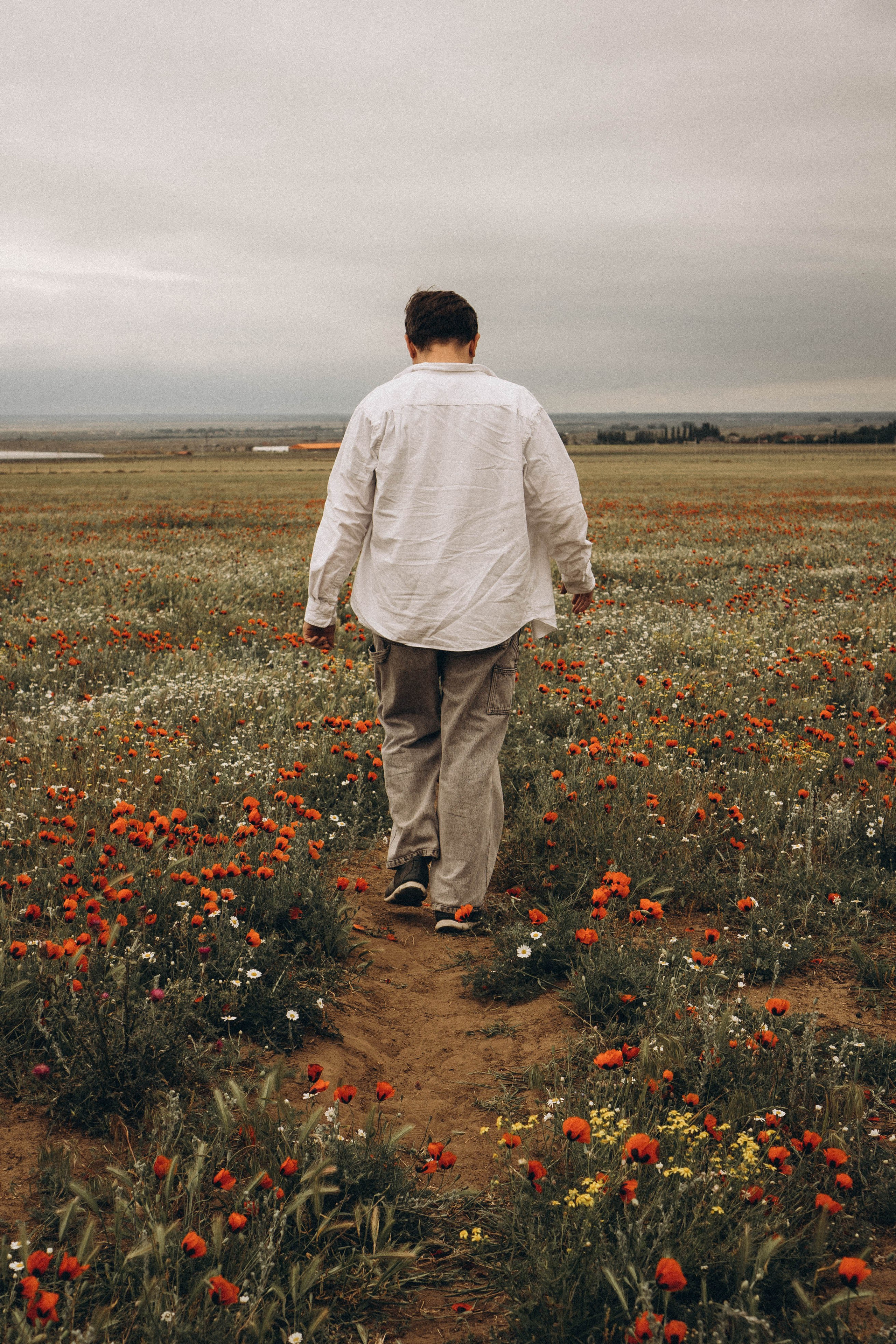 Маки. Профессиональный фотограф, Санкт-Петербург — Виктория Богомолова