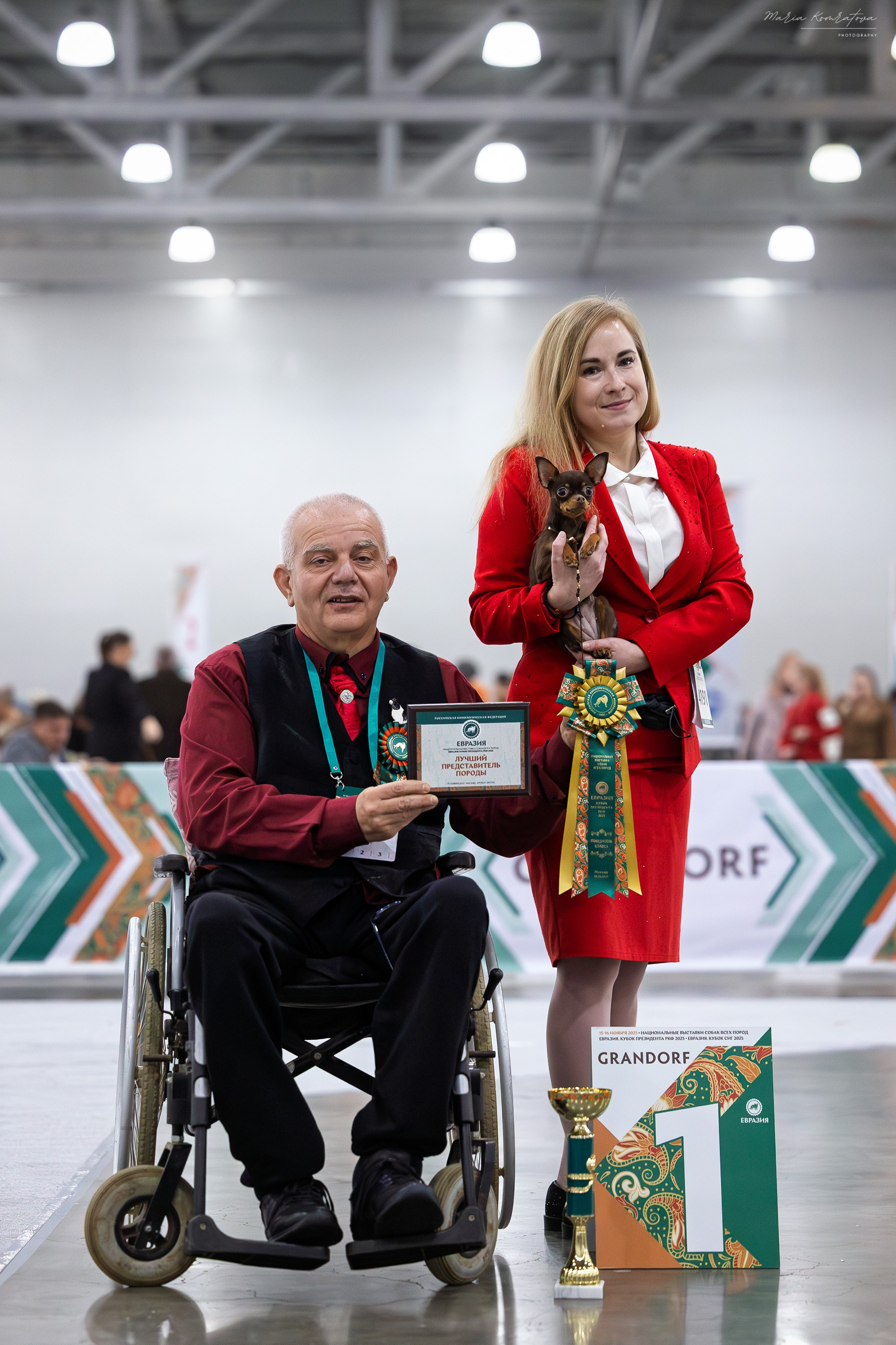 Евразия 2025 съемка в ринге на выставке собак, фотограф собак на выставке. Фотограф анималист, семейный фотограф, фотограф собак Комратова Мария. г. Москва