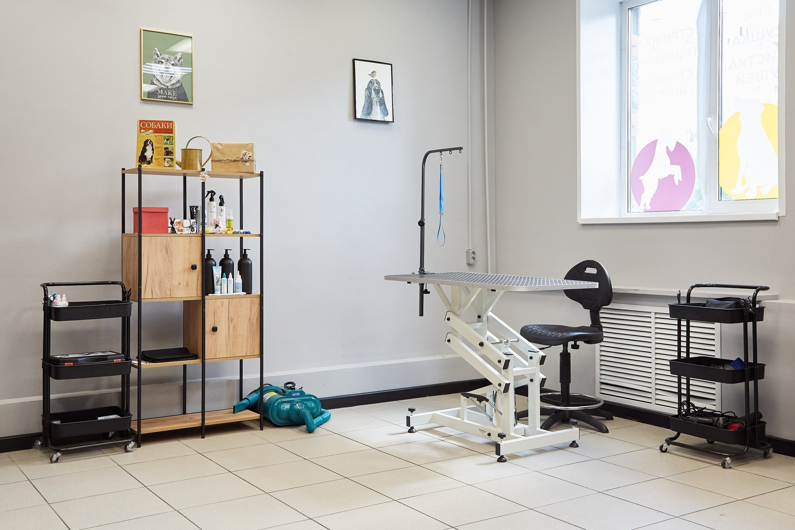 Зоопарикмахерская Avrora Groom. Фотограф Анастасия Леонтьева Санкт-Петербург