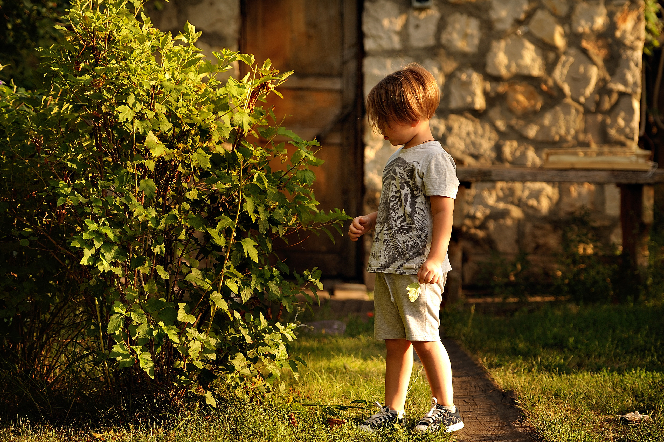 Дети. Свадебный и семейный фотограф в Самаре Головань Наталья