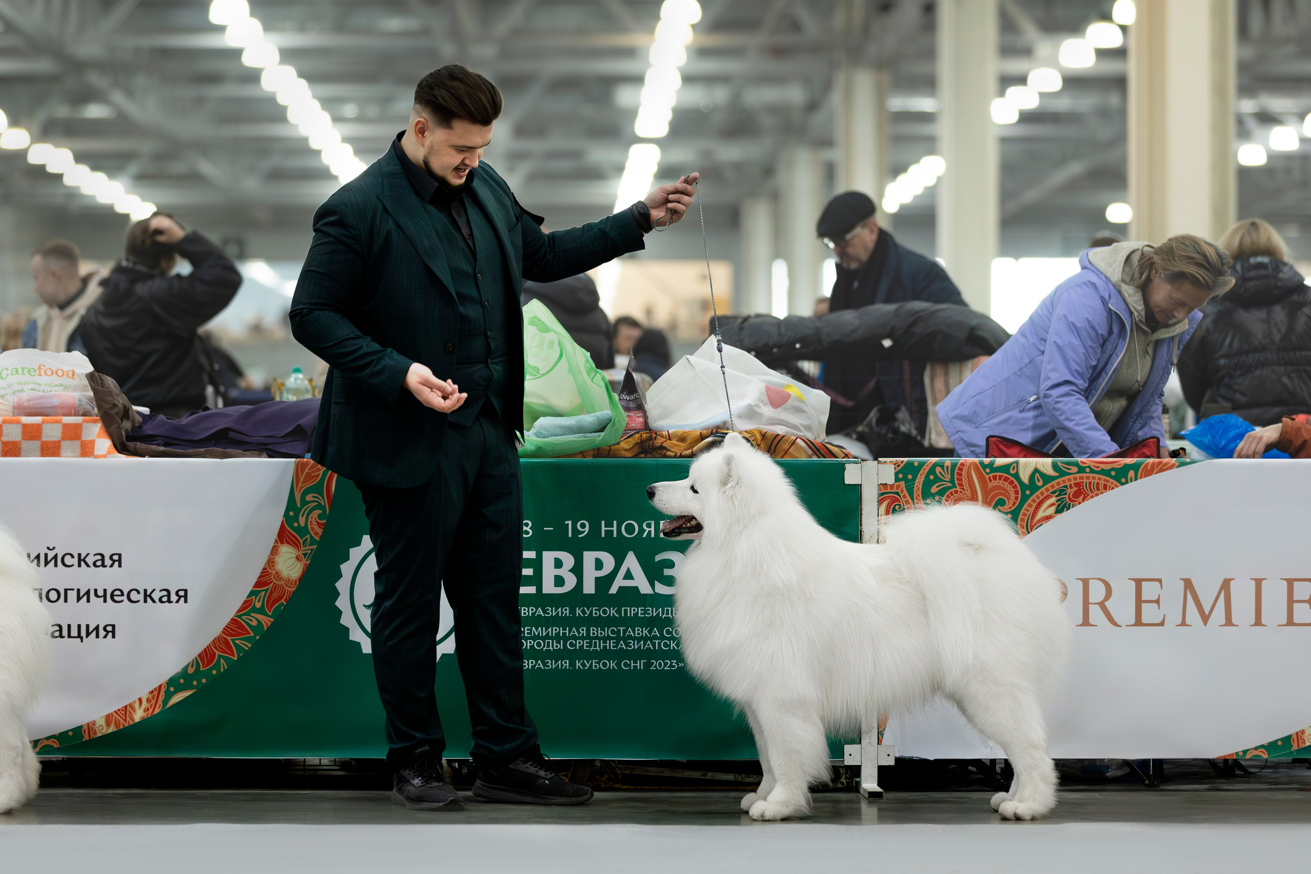 Евразия 2023. Фотограф анималист в Москве Майорова Евгения