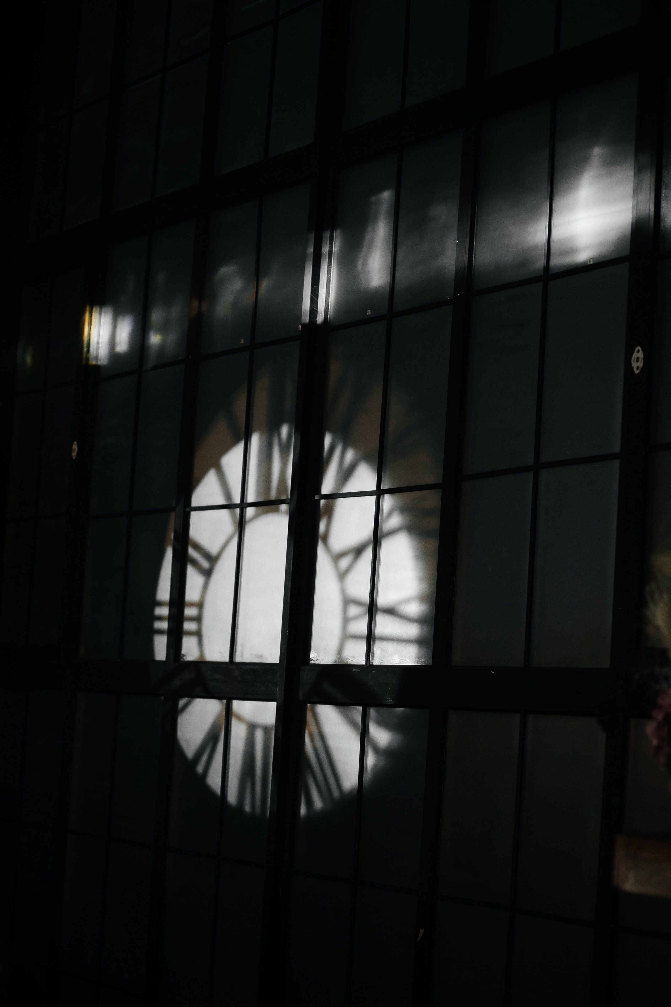 N & L. Фотограф Ольга Сапронова. Свадебный фотограф Ольга Сапронова