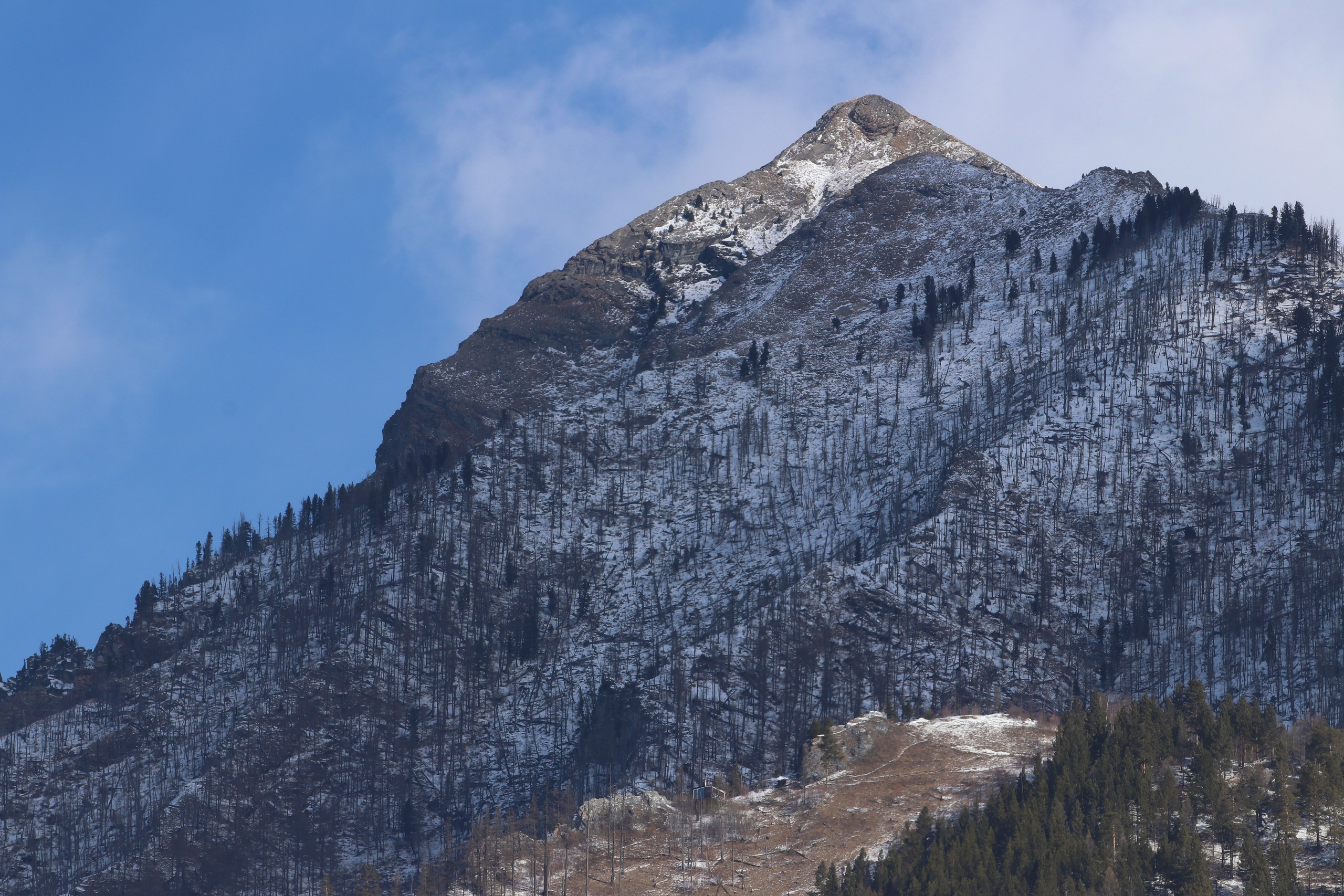 Аршан. Февраль 2025. Путешественник-фотограф из Санкт-Петербурга Татьяна Свистулина