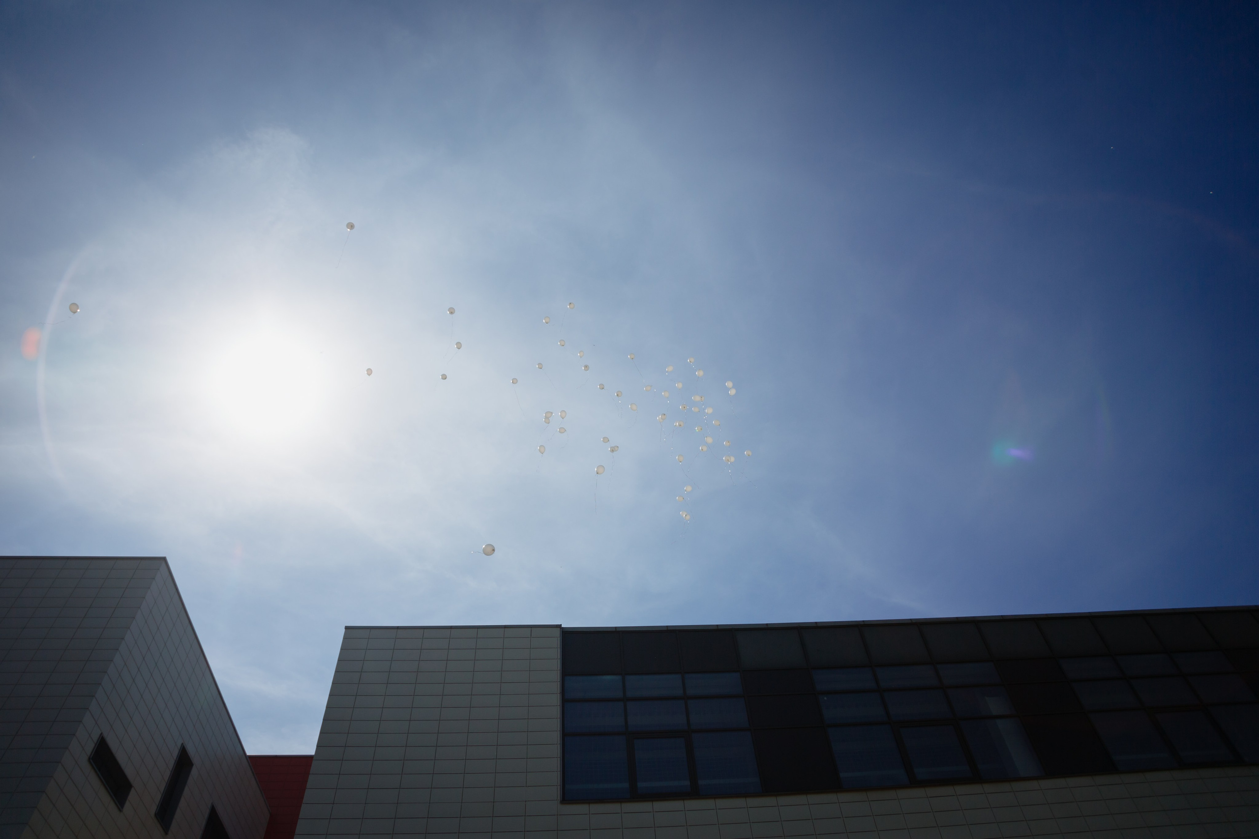 Последний звонок 2024 (2 часа фотосъемки). Профессиональный фотограф Надежда Антонова