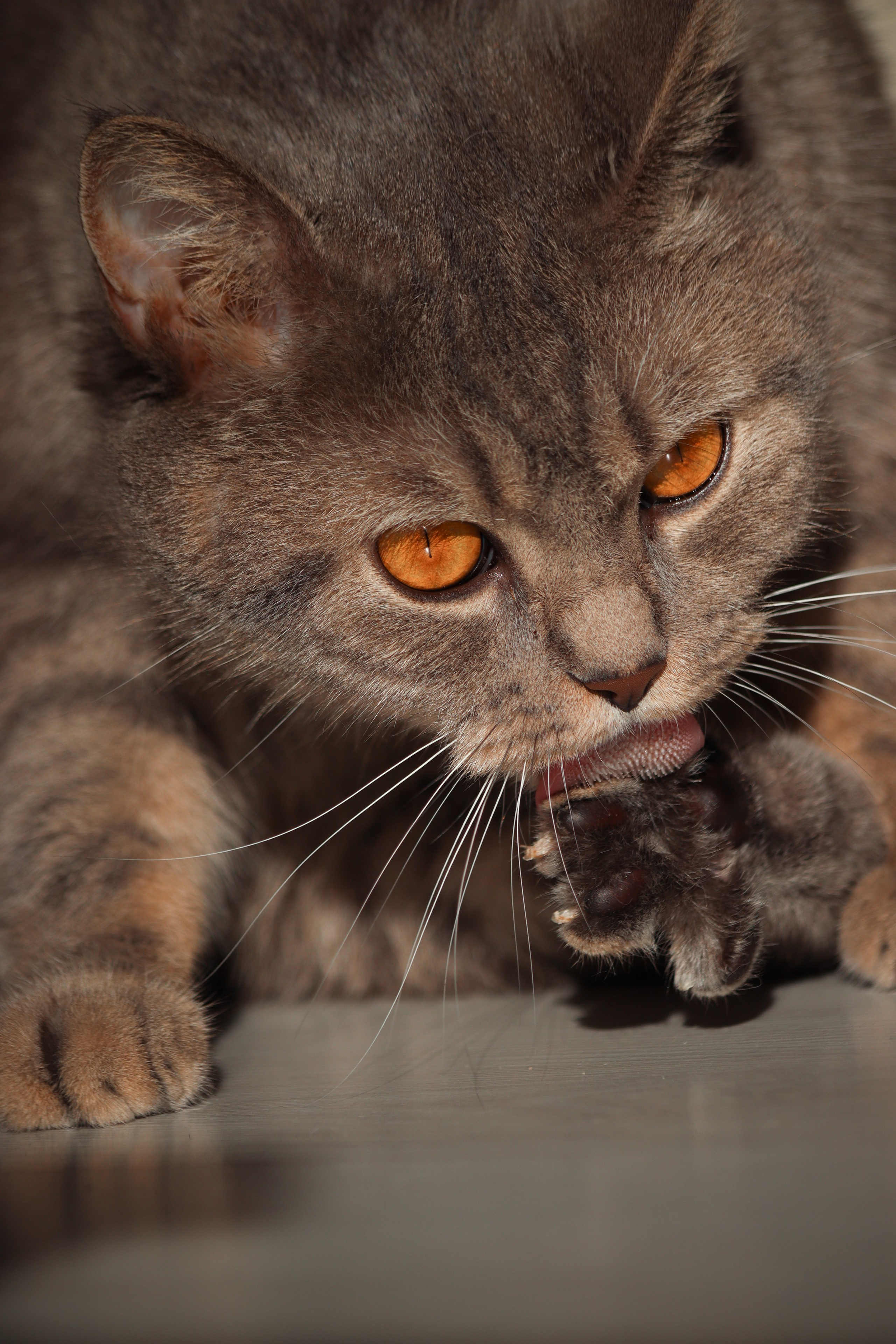 М А Р Т И Н. — Digital Noise —