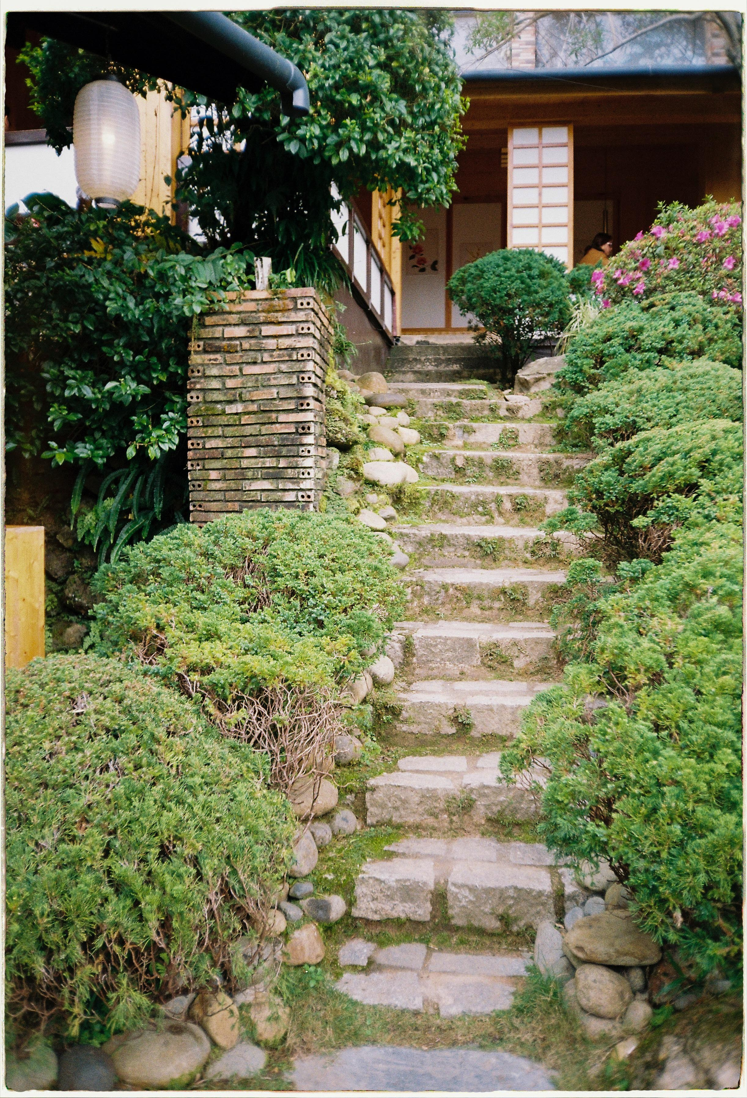 Dalat 2024. Film Photographer in Da Nang, Vietnam — Tanya Parfenteva