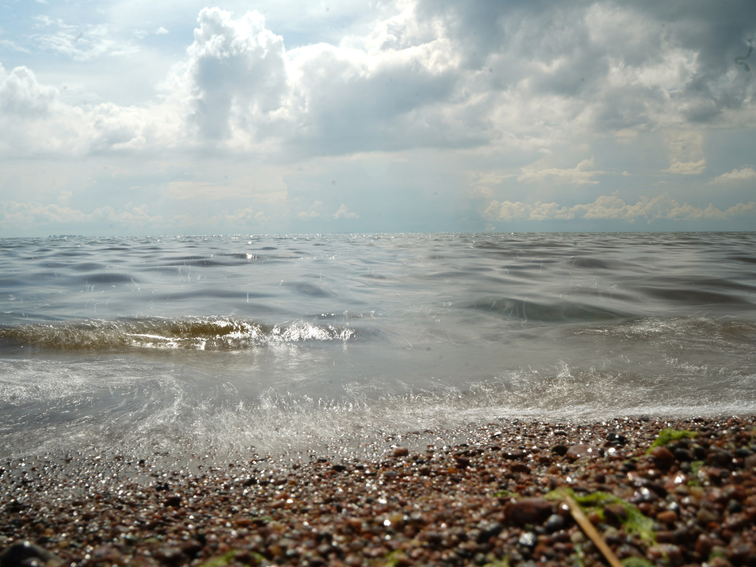 Природа и животные. Творческий фотограф Ирина Баландина.  Санкт-Петербург, Мурманск