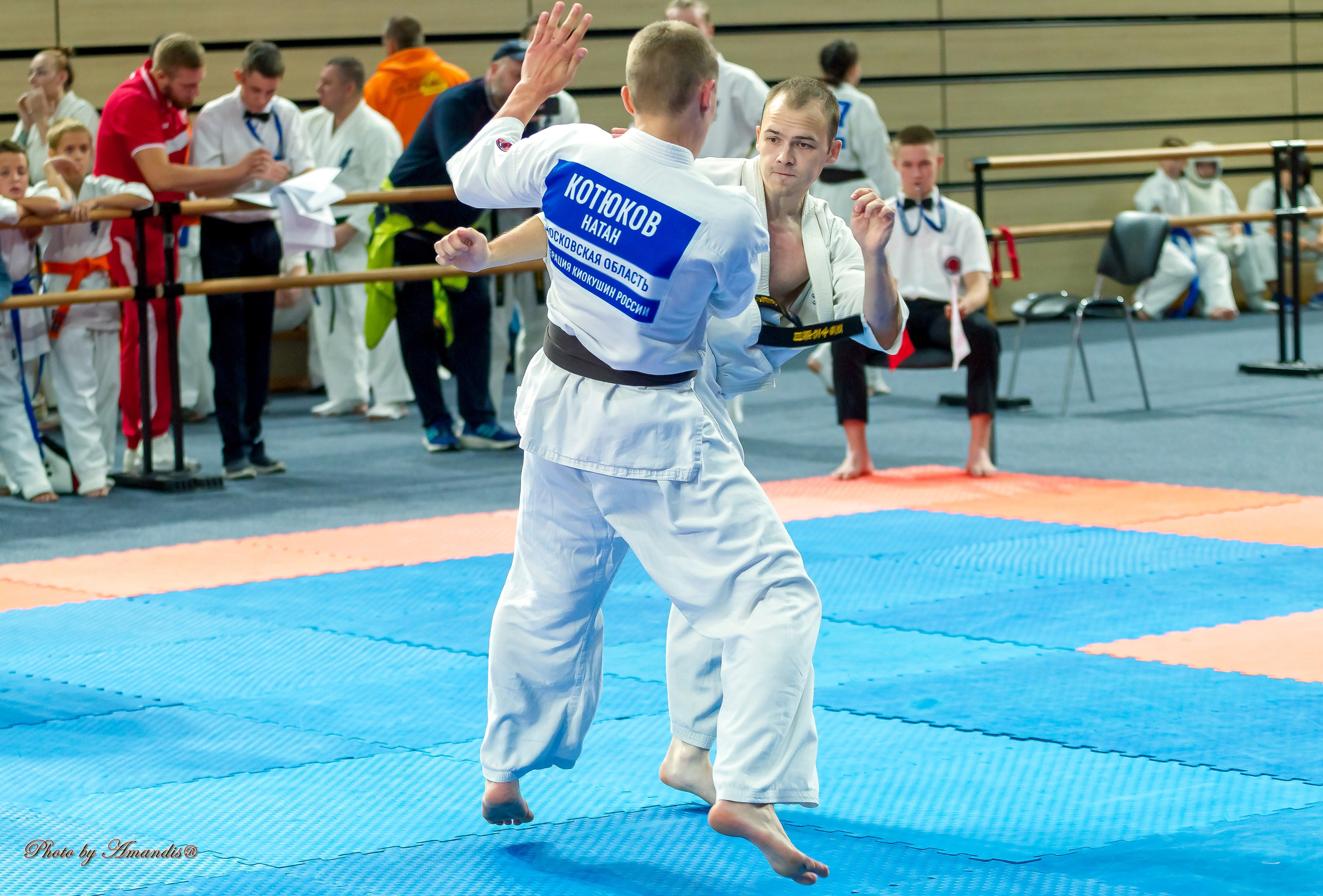 Первенство Московской области по Киокушин в СК «Жаворонки». Репортажная съемка в Москве и области. Анималистика