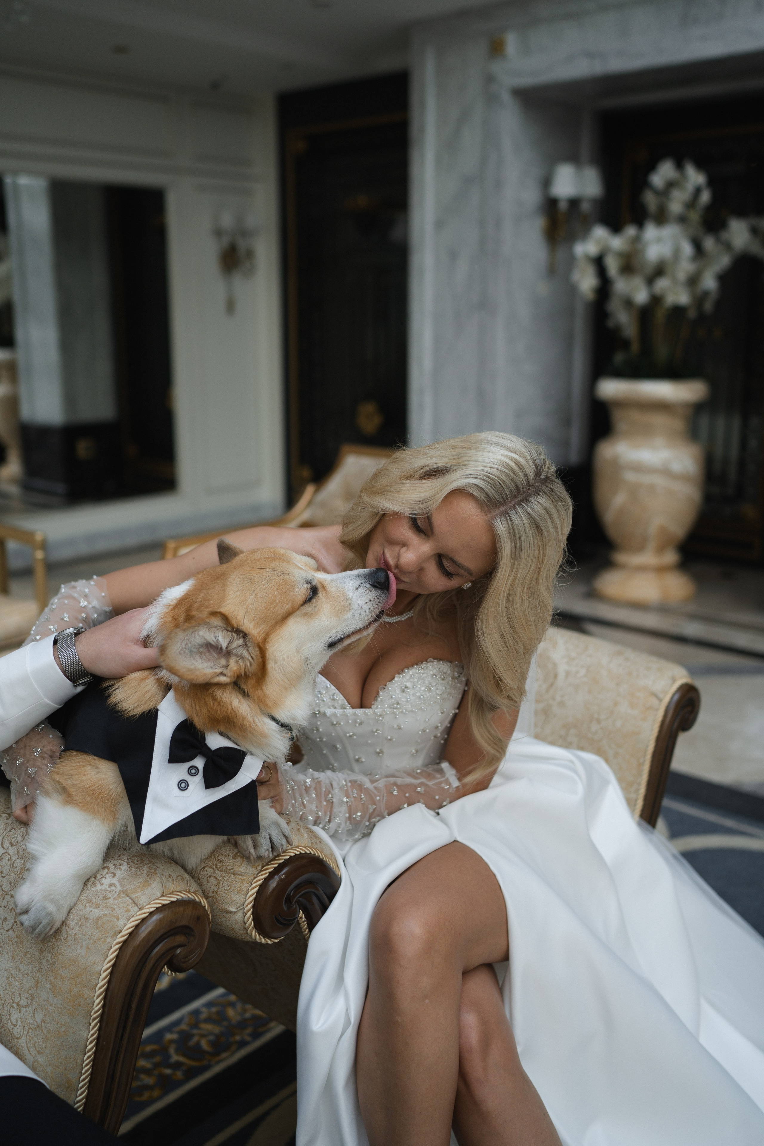 Моменты в ритме стиля. Свадебный фотограф в Санкт-Петербурге