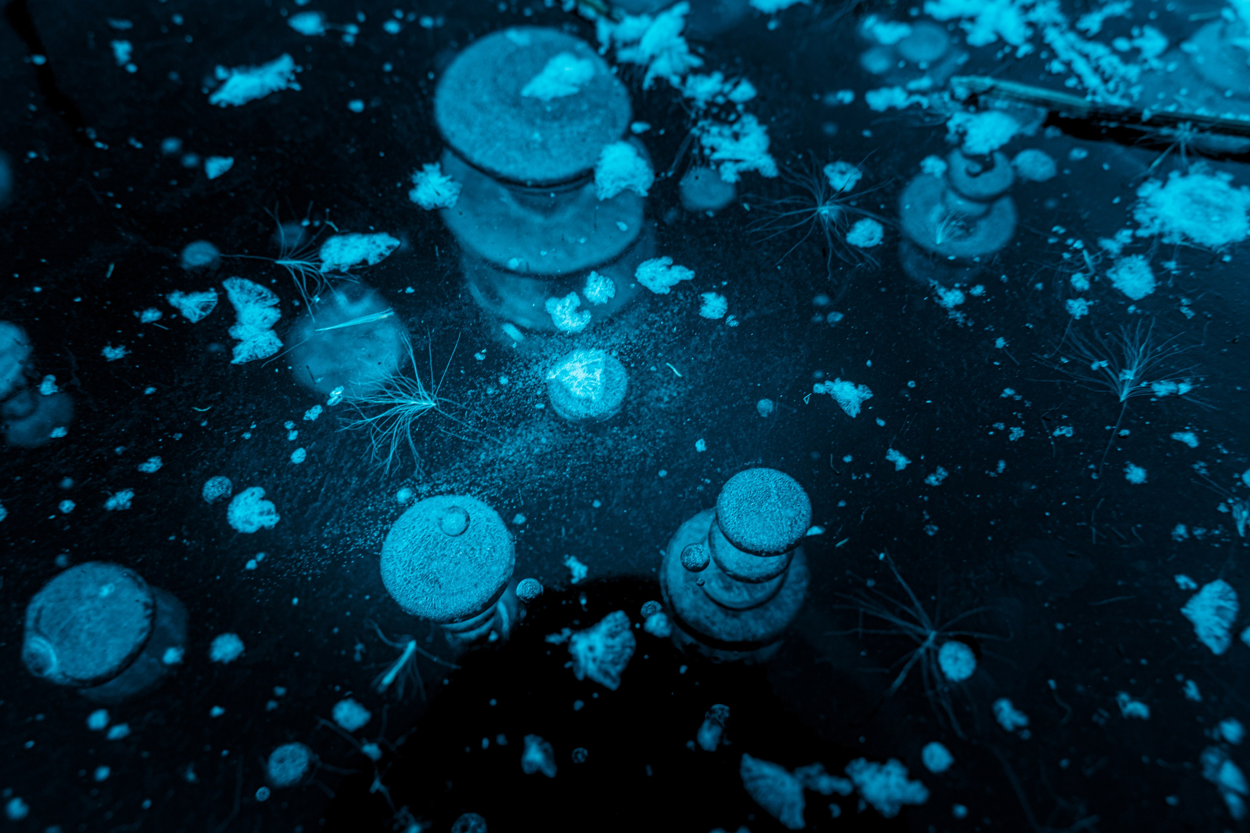 Пища для глаз. Ваш фотограф Северск | Томск