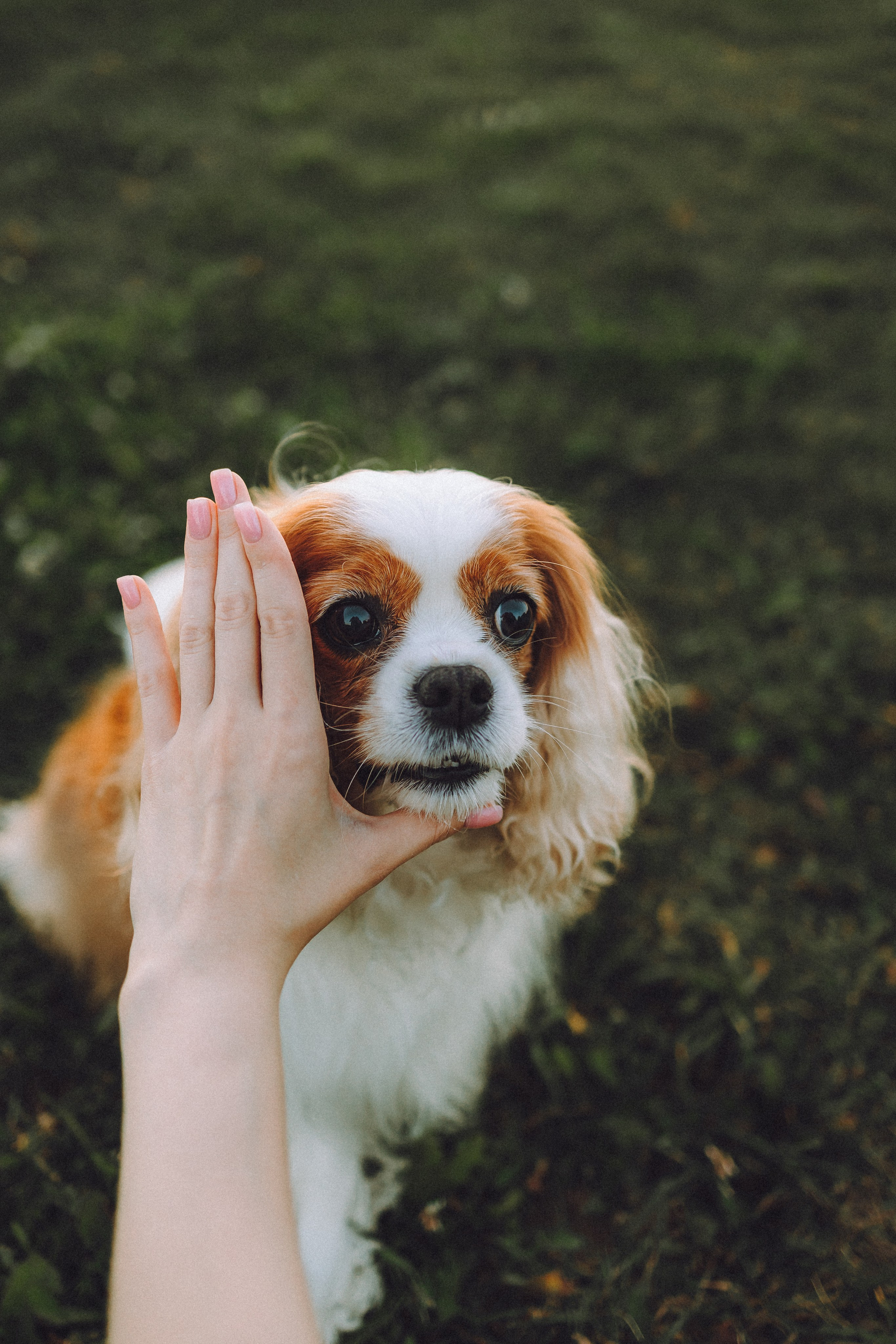 Наташа и Вики