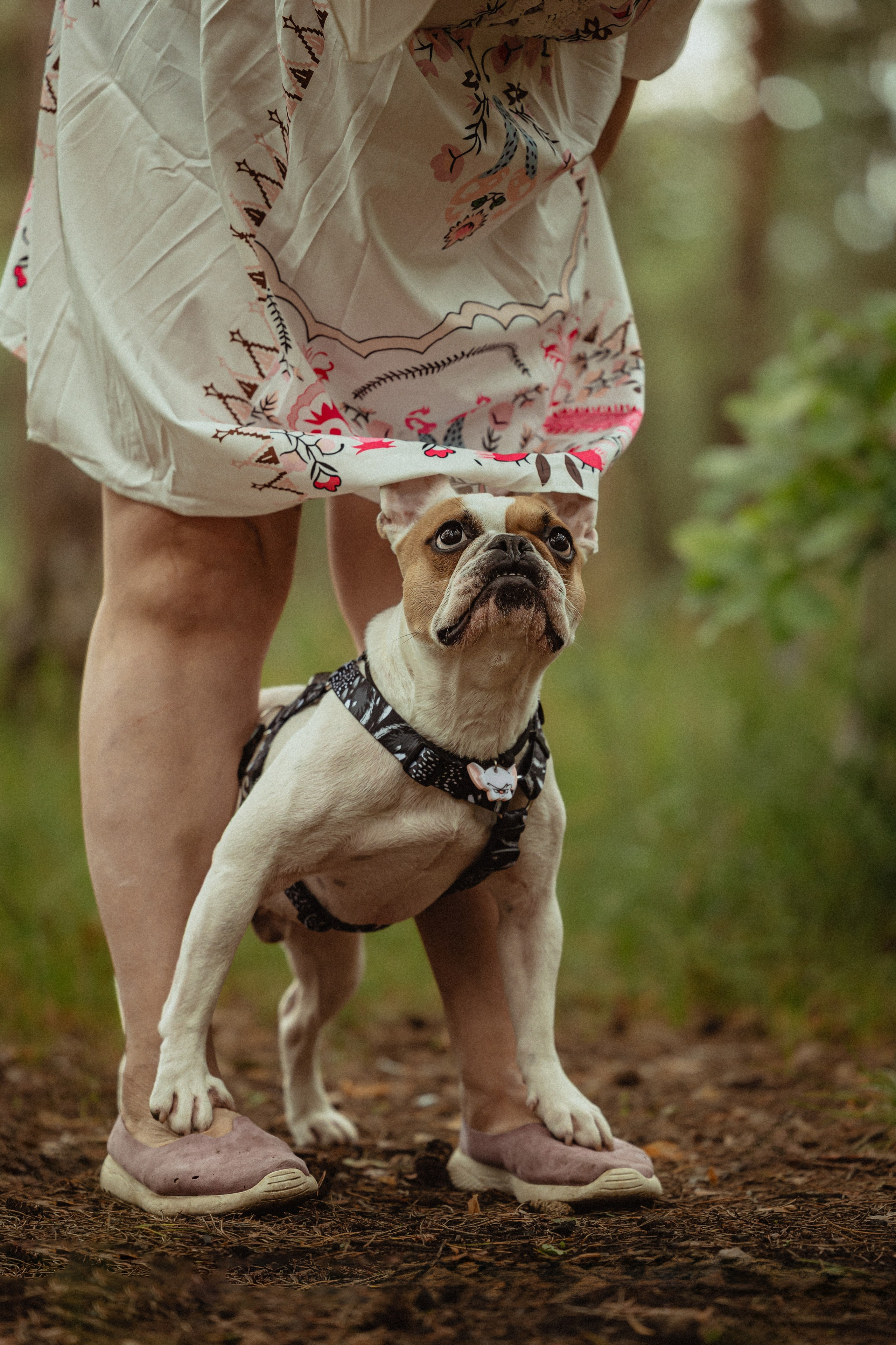 Выездной дог-тренинг от школы «Шерсть имею»